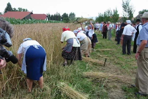 Doživetja narave Artič