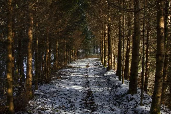 Doživetja narave Artič