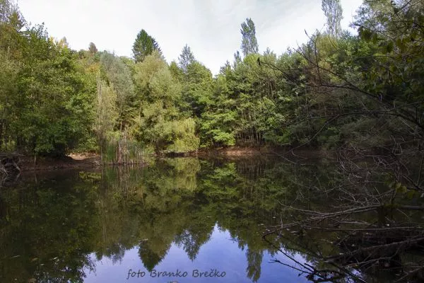 Doživetja narave Artič