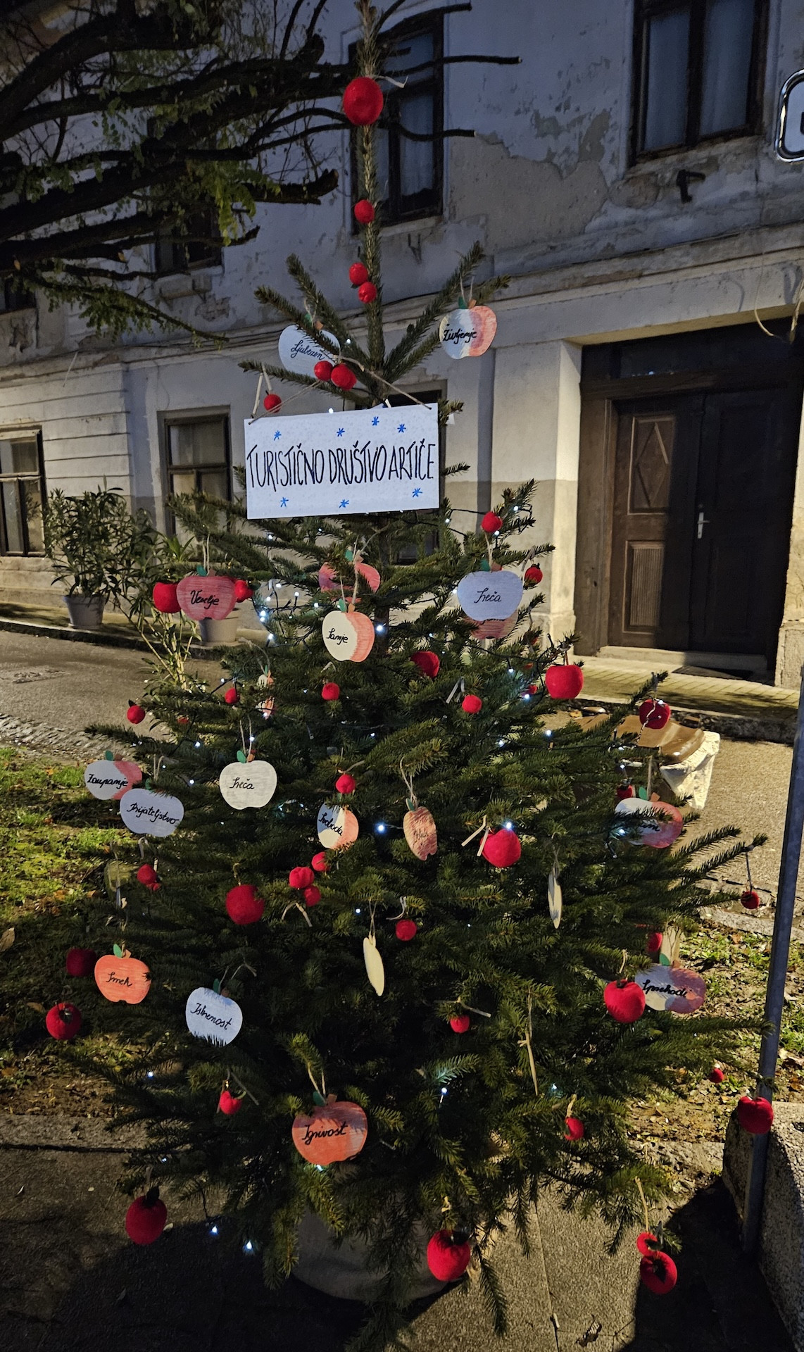 Okraševanje smrečic v Brežicah