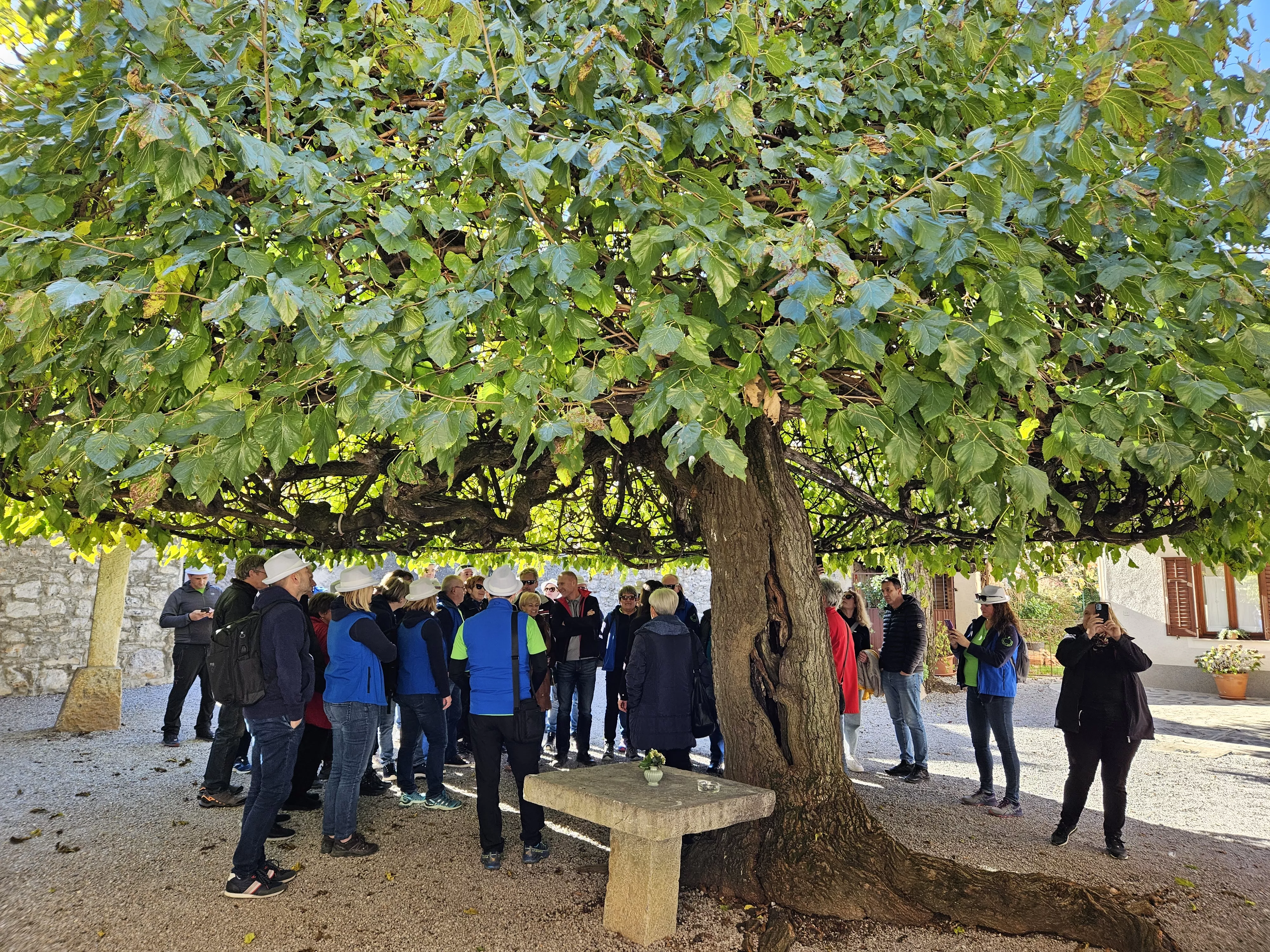 Strokovna ekskurzija po Krasu