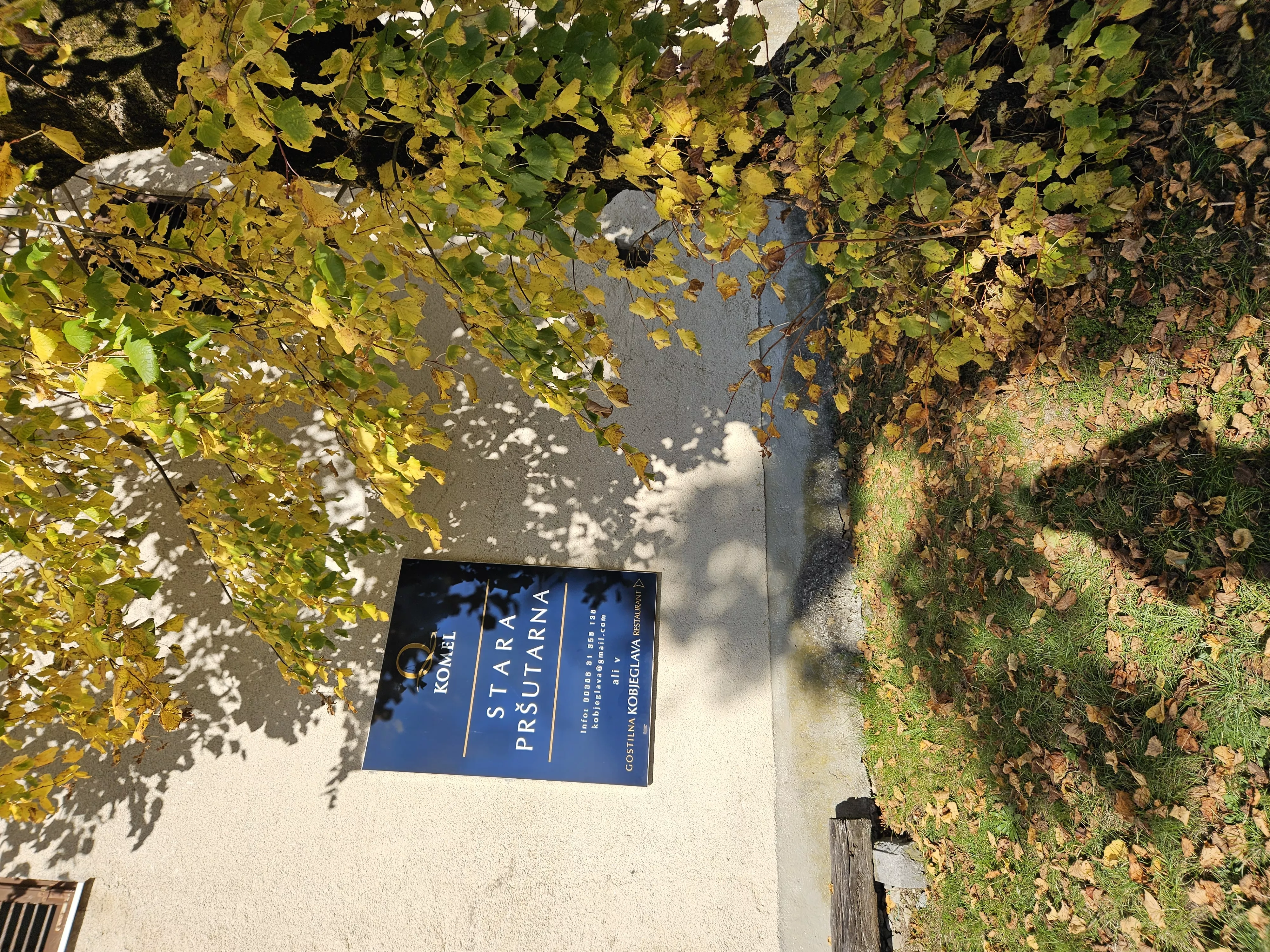 Strokovna ekskurzija po Krasu