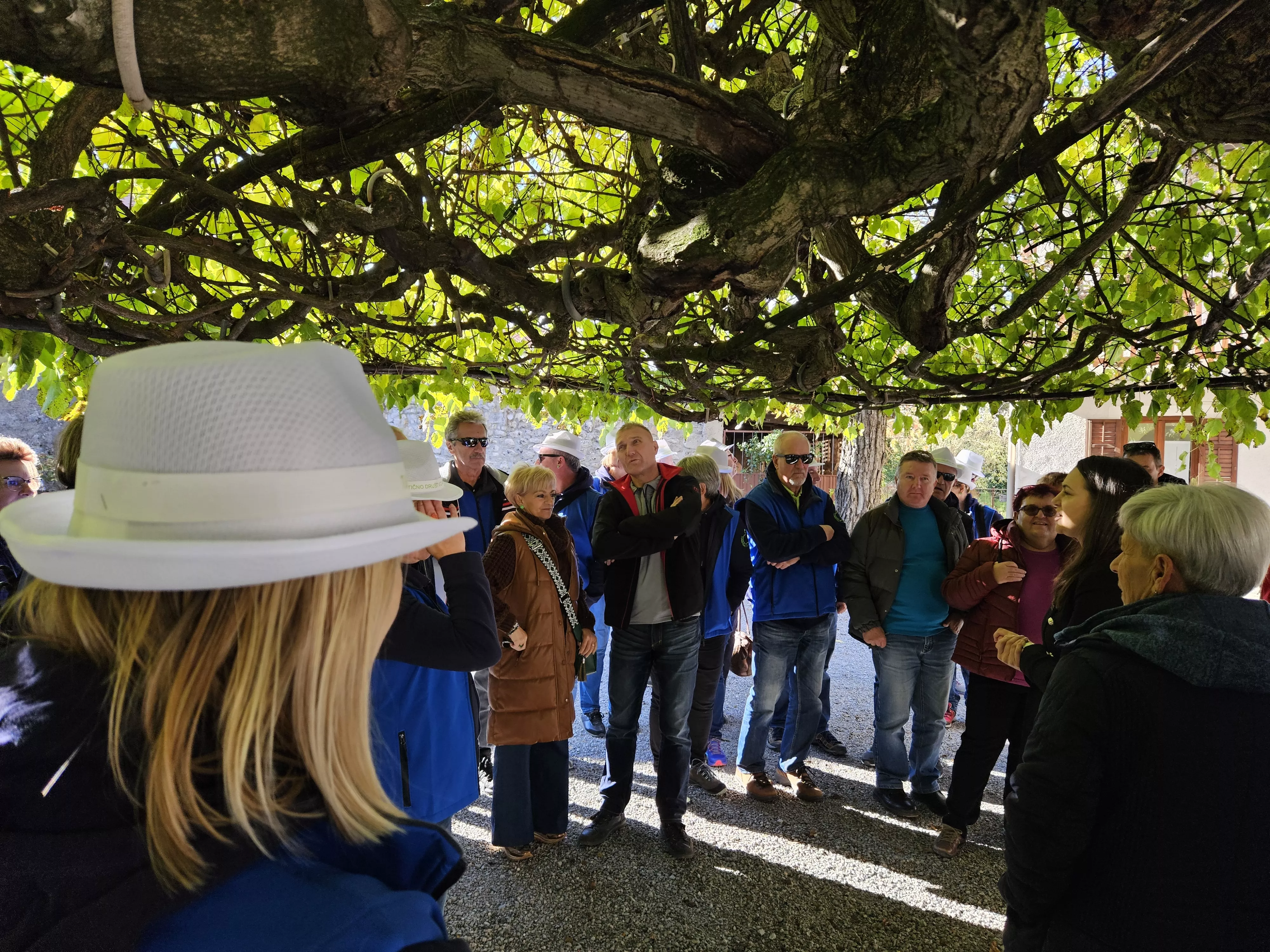 Strokovna ekskurzija po Krasu