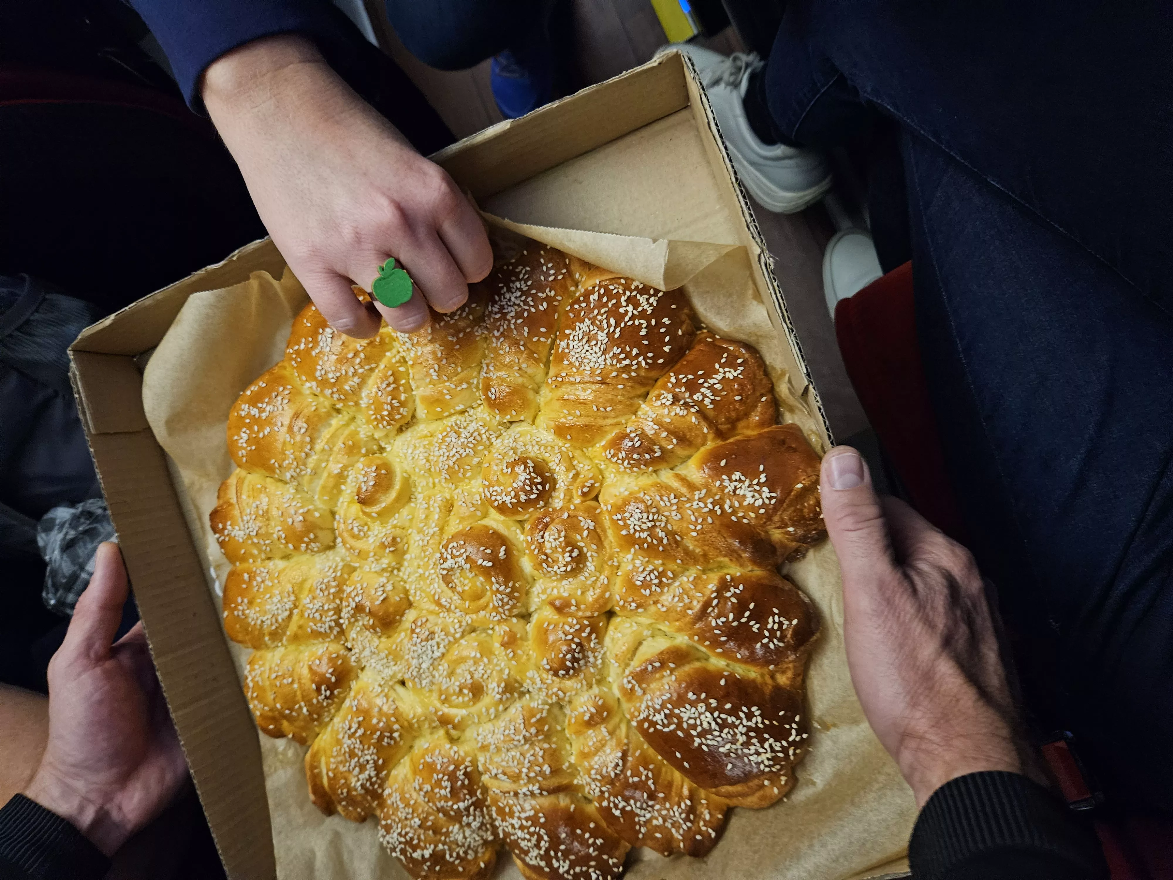 Strokovna ekskurzija po Krasu