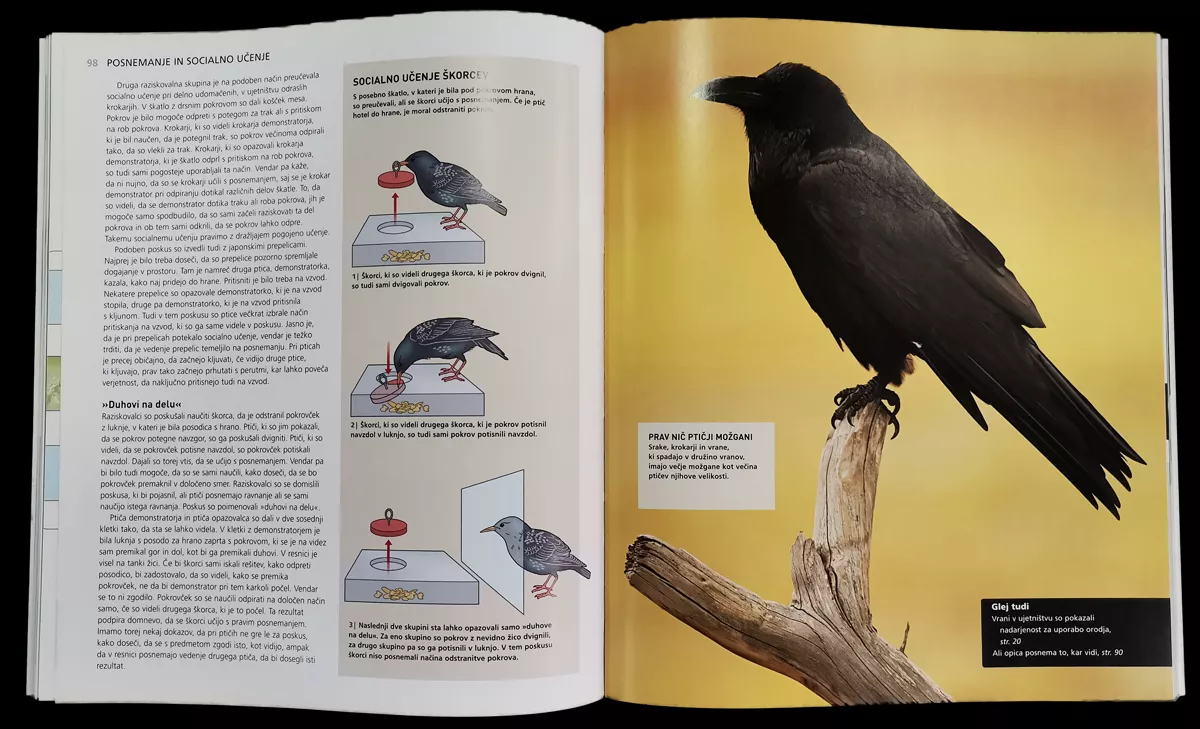 Najpametnejše živali sveta