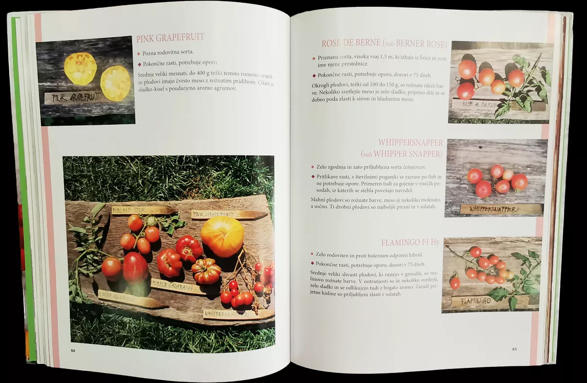 Paradižniki z mojega vrta