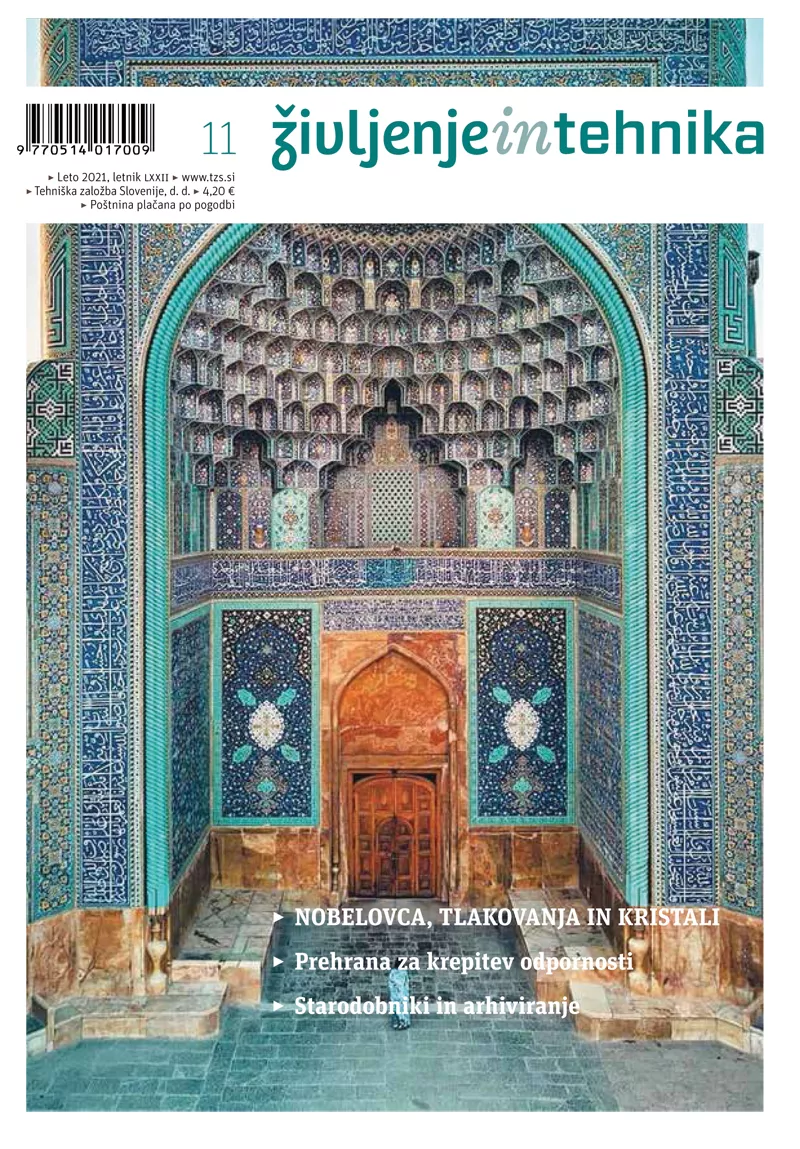 Življenje in tehnika 11/21