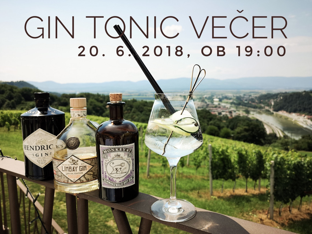 Gin tonic večer