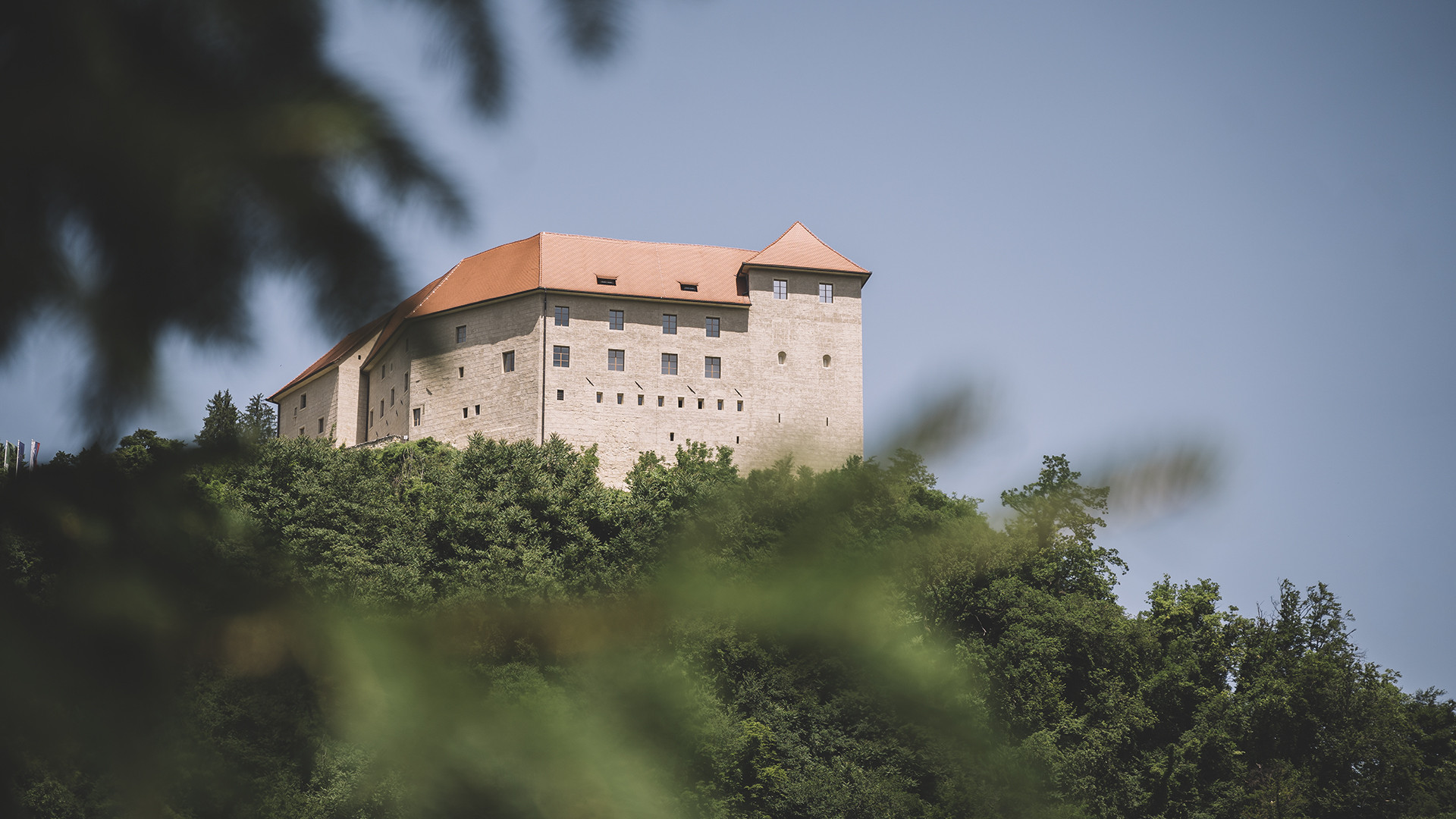 Martinovi kulinarični dnevi