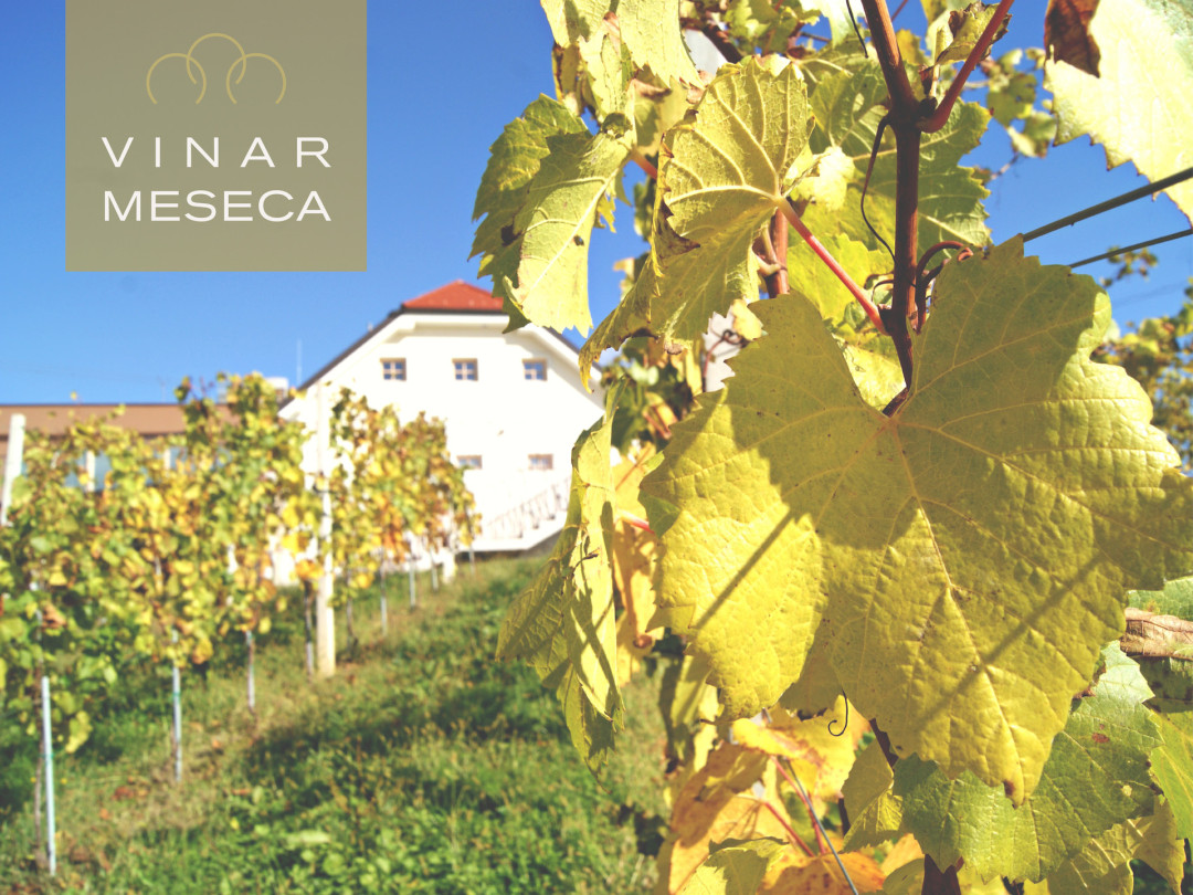 vinar_meseca.jpg