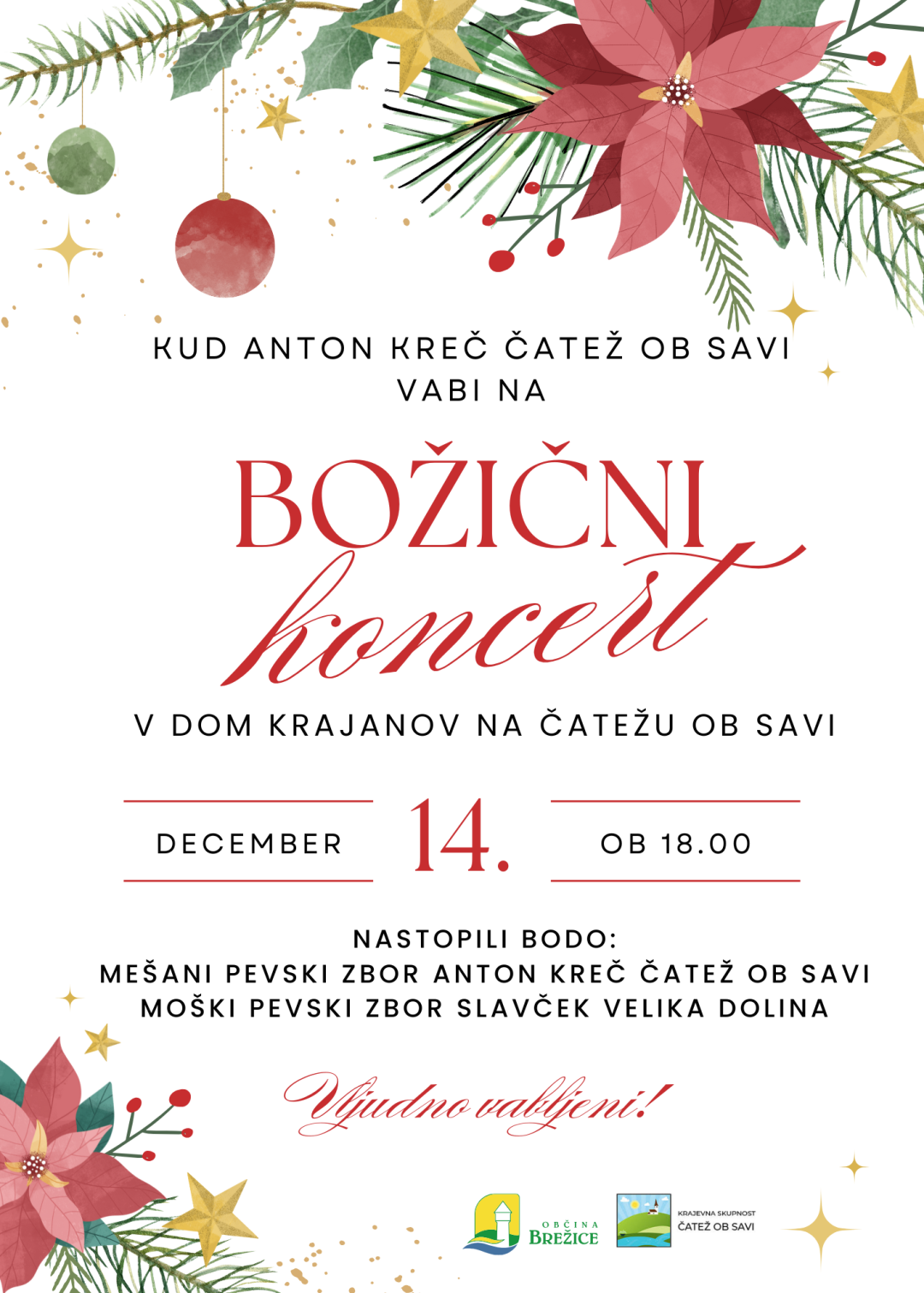 Božični koncert na Čatežu