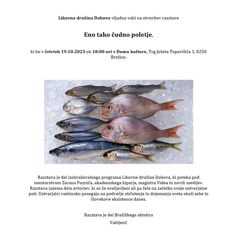 Eno tako čudno poletje - razstava