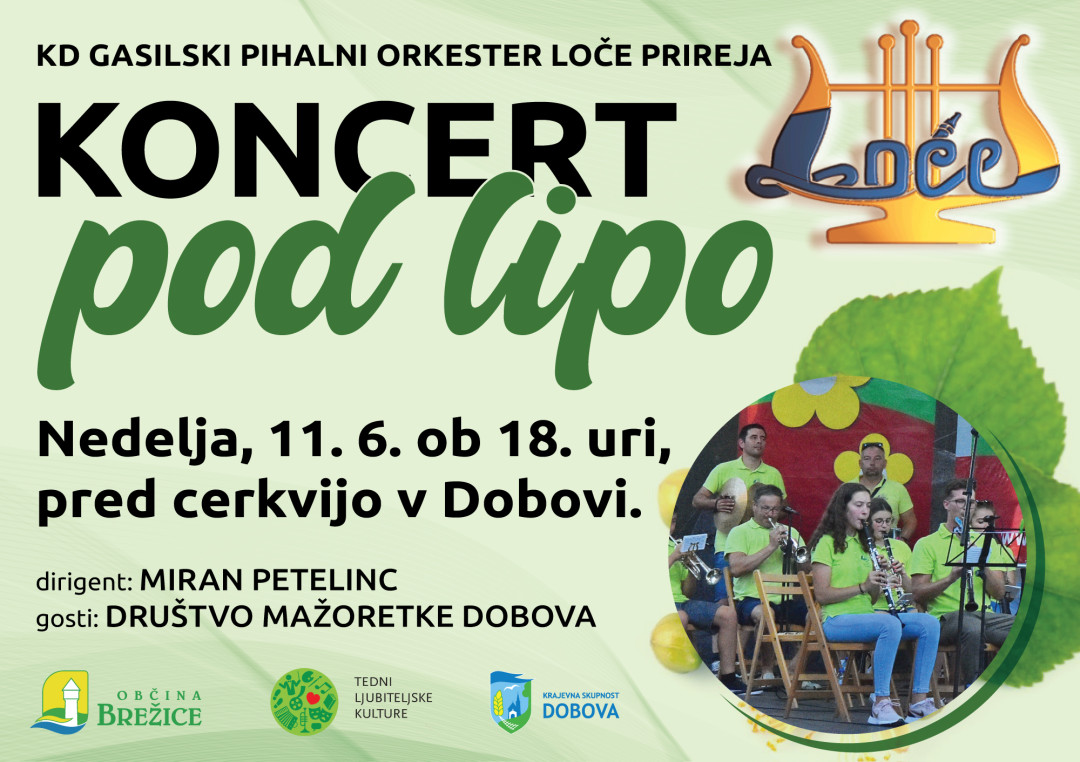 Koncert pod lipo