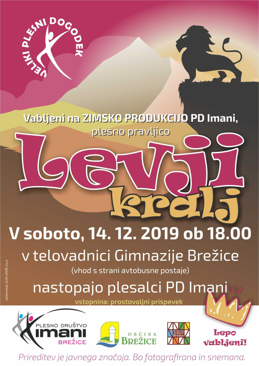 Levji kralj - zimska produkcija plesnih pripravnic