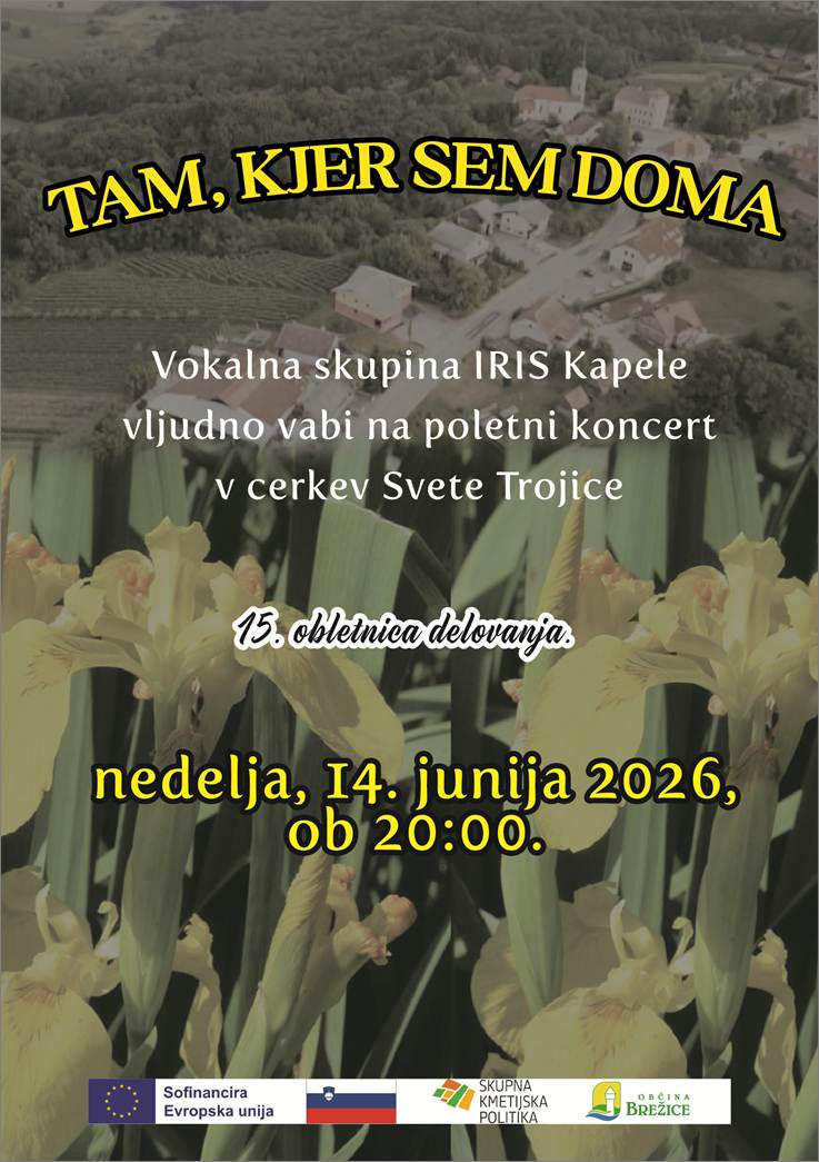 Poletni koncert VS Iris Tam, kjer sem doma - ob 15. obletnici delovanja