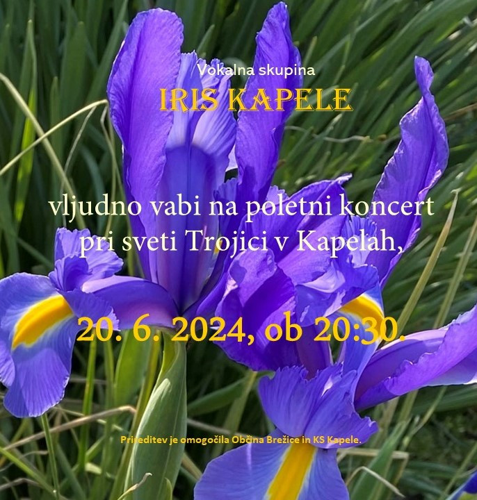 Poletni koncert VS Iris