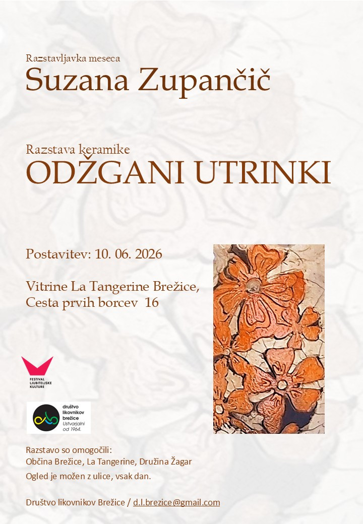 Razstava Odžgani trenutki