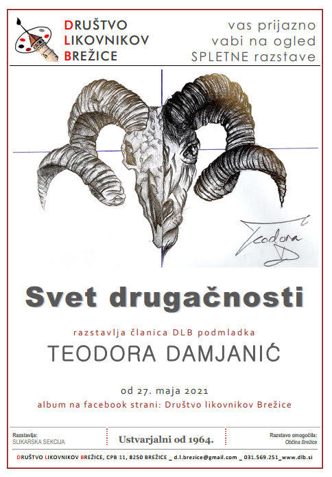 Svet drugačnosti - spletna razstava