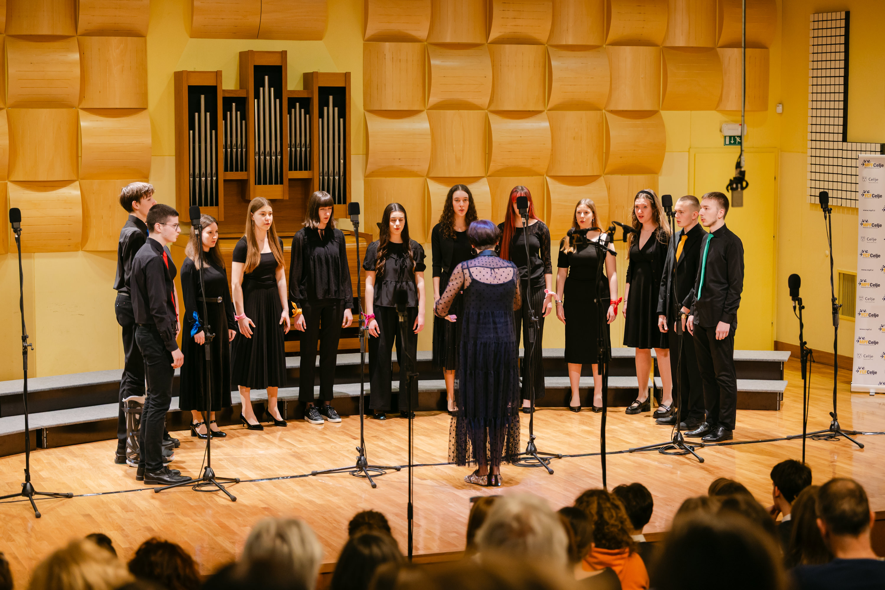 Zlati uspeh z odliko za MeMPZ Gimnazija Brežice