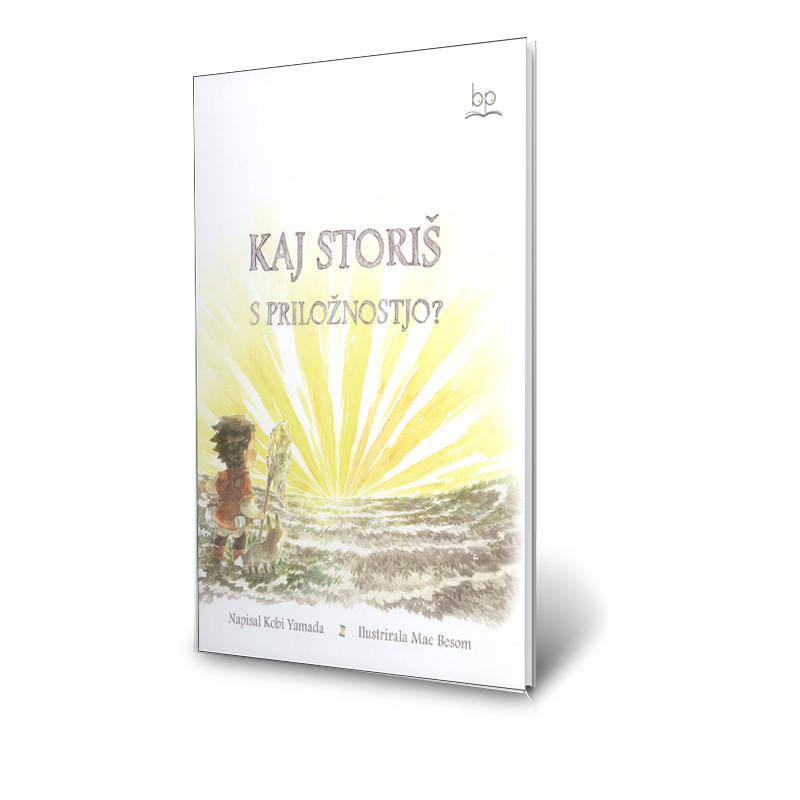 Kaj storiš s priložnostjo?