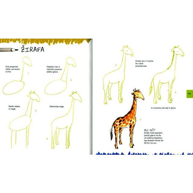 Naučimo se risati – džungla