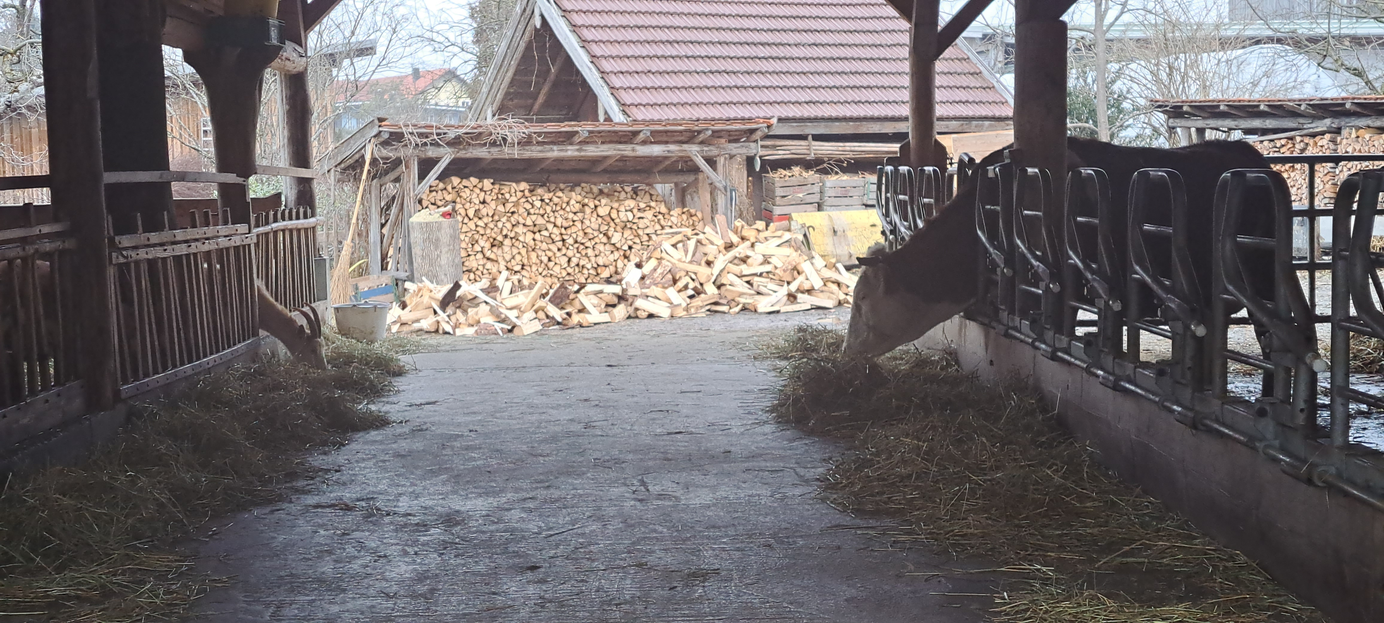 EKSKURZIJA BioFach 2025