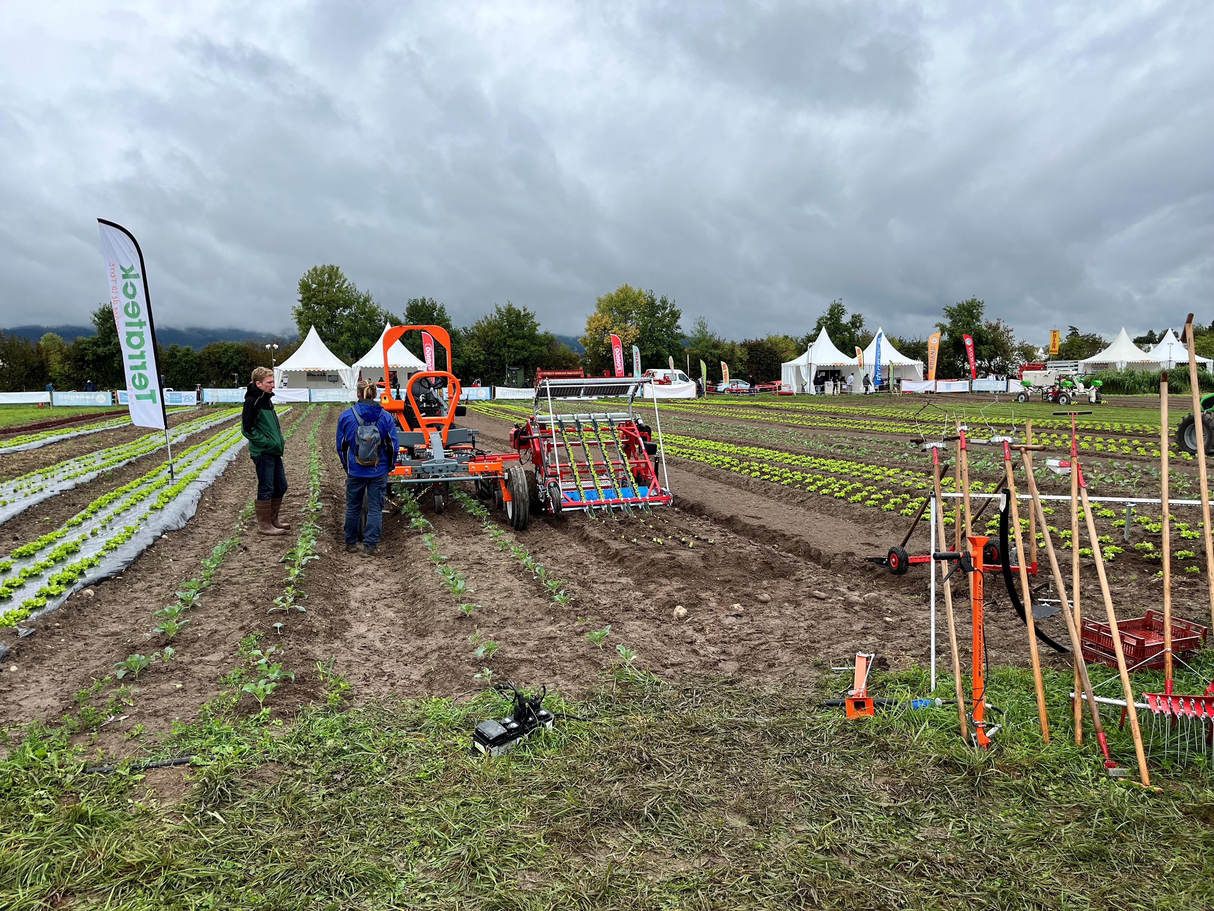 Specialni stroji za zelenjavo