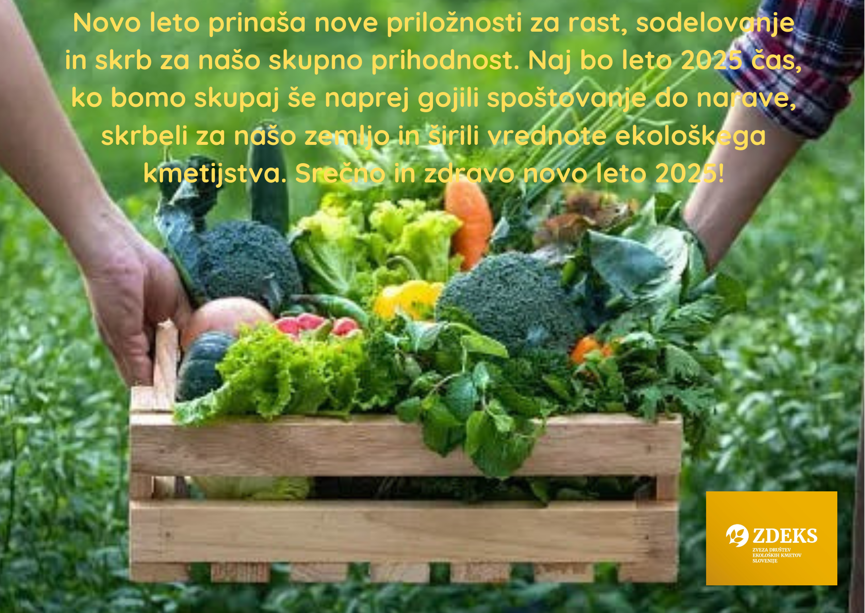 Vesele praznike in srečno novo leto 2025!