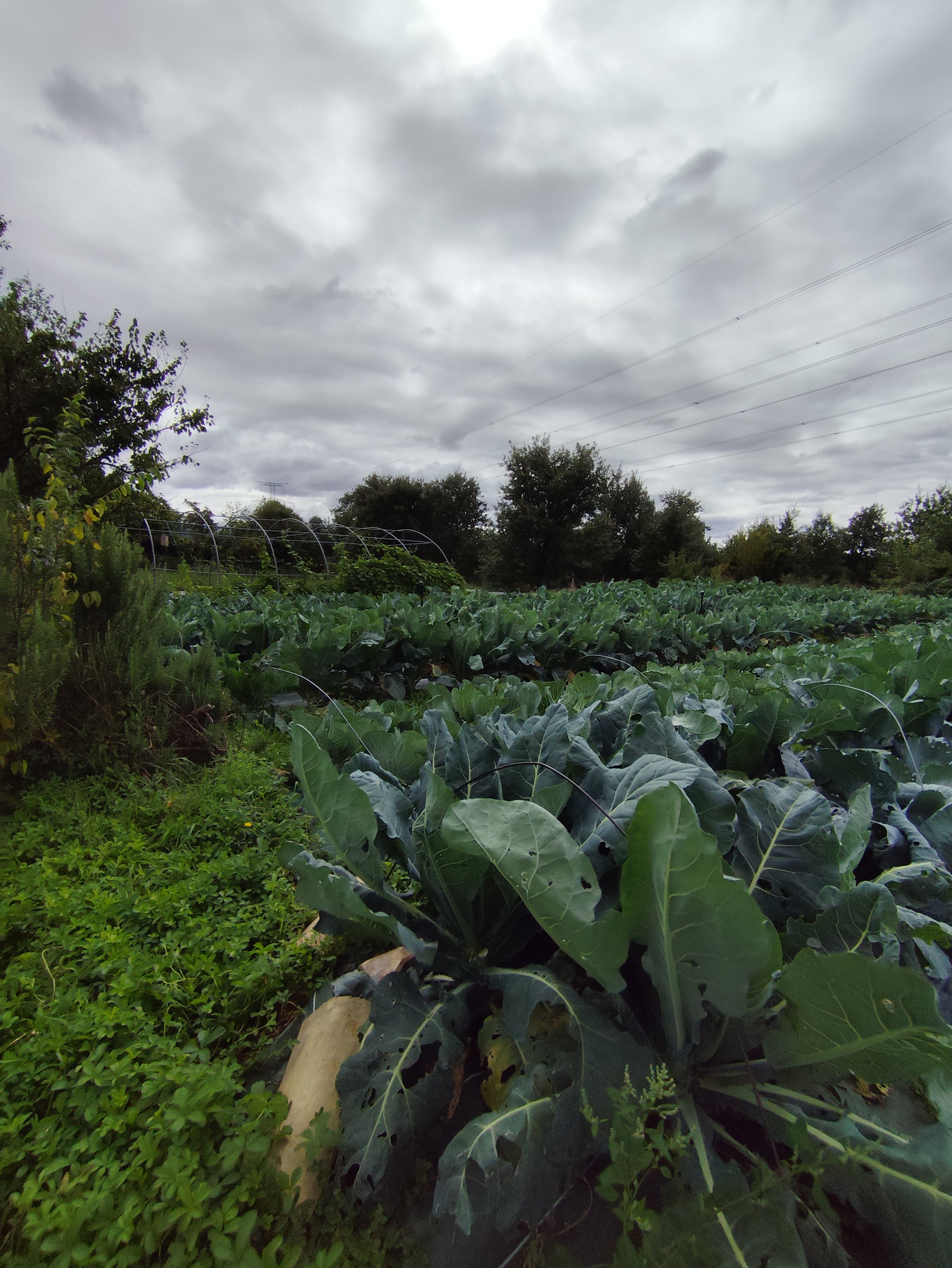 ZDEKS na sejmu Tech&Bio 2025: izmenjava znanja in predstavitev slovenskih inovacij