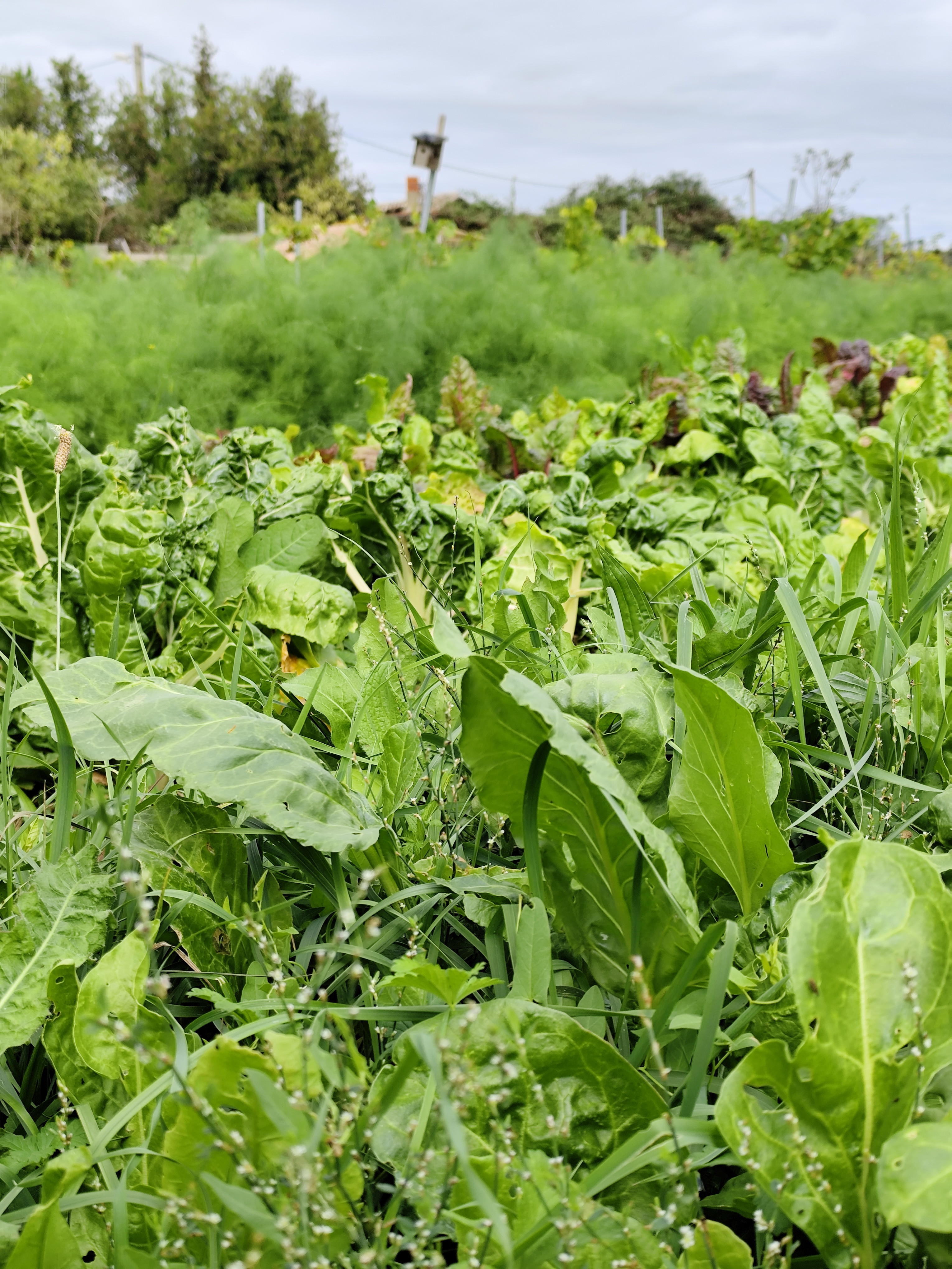 ZDEKS na sejmu Tech&Bio 2025: izmenjava znanja in predstavitev slovenskih inovacij