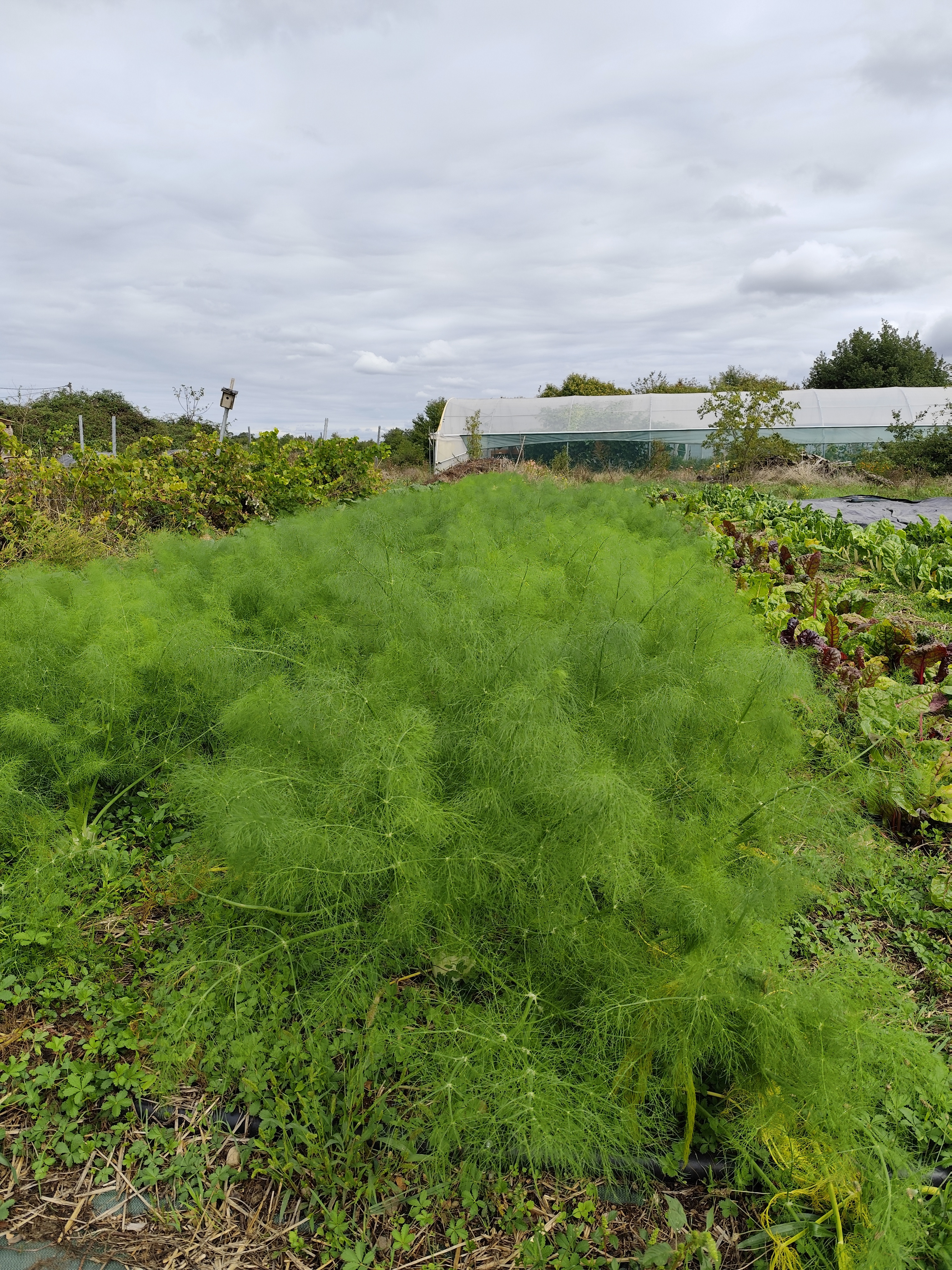 ZDEKS na sejmu Tech&Bio 2025: izmenjava znanja in predstavitev slovenskih inovacij