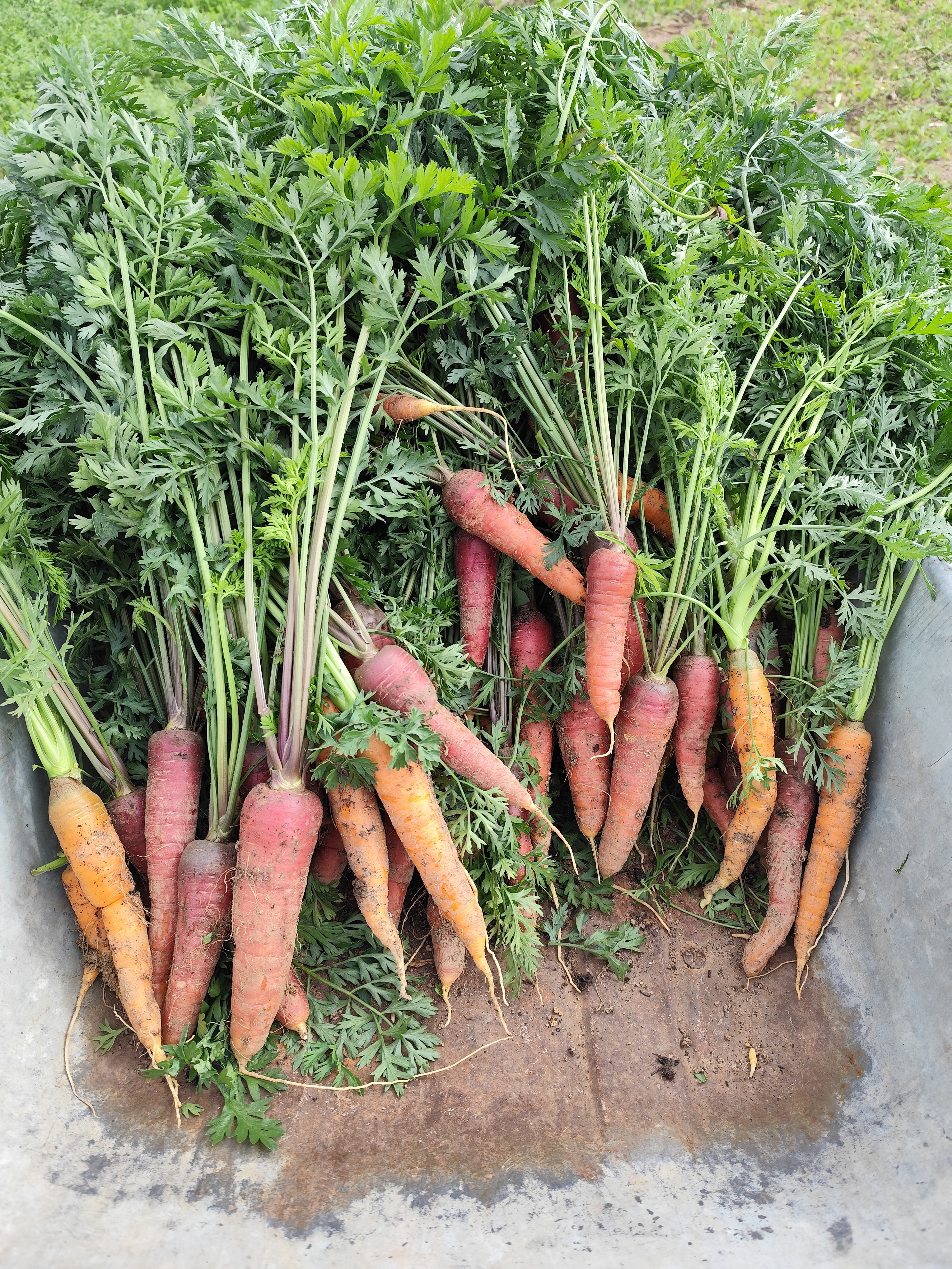 ZDEKS na sejmu Tech&Bio 2025: izmenjava znanja in predstavitev slovenskih inovacij