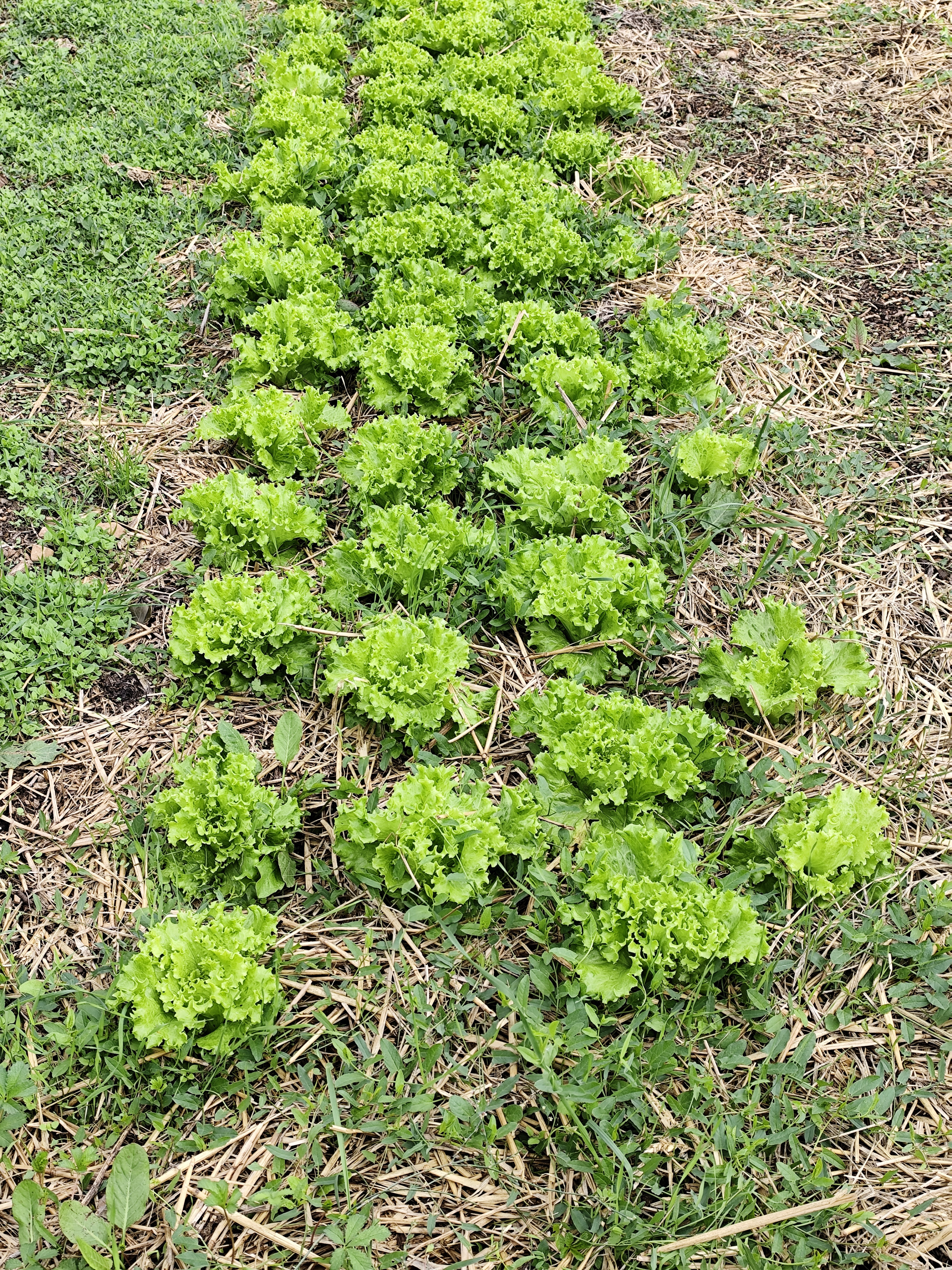 ZDEKS na sejmu Tech&Bio 2025: izmenjava znanja in predstavitev slovenskih inovacij