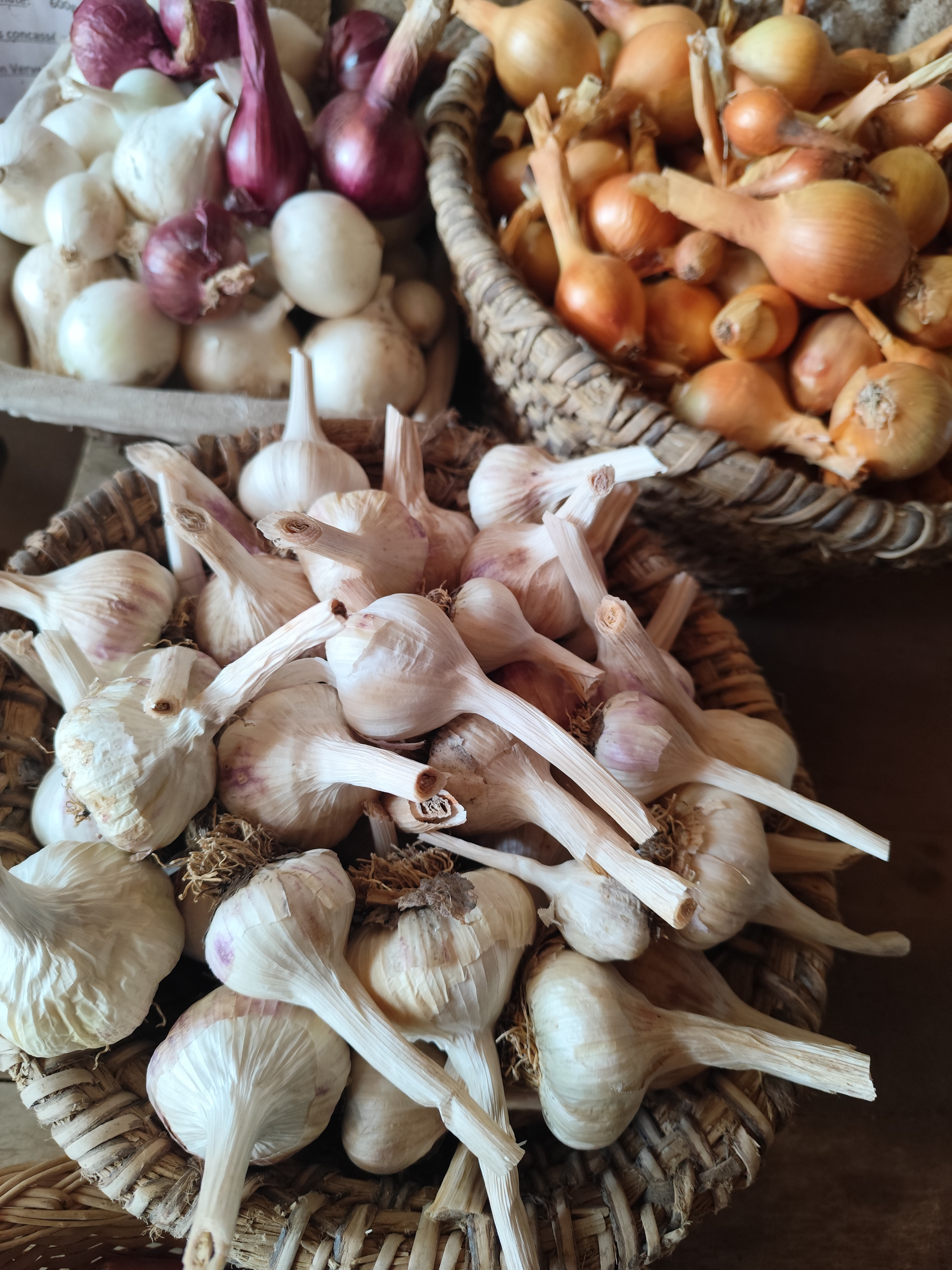 ZDEKS na sejmu Tech&Bio 2025: izmenjava znanja in predstavitev slovenskih inovacij