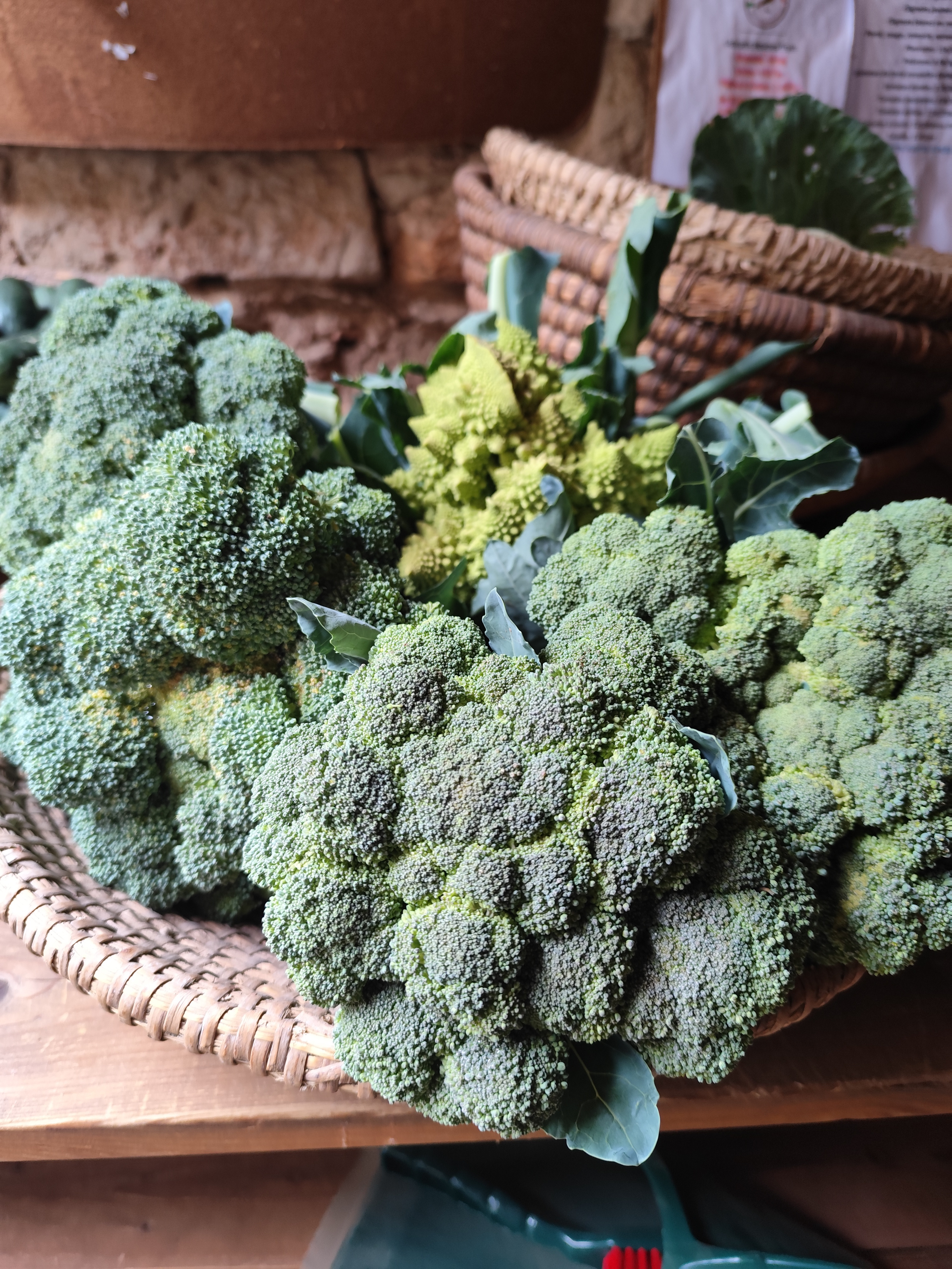 ZDEKS na sejmu Tech&Bio 2025: izmenjava znanja in predstavitev slovenskih inovacij