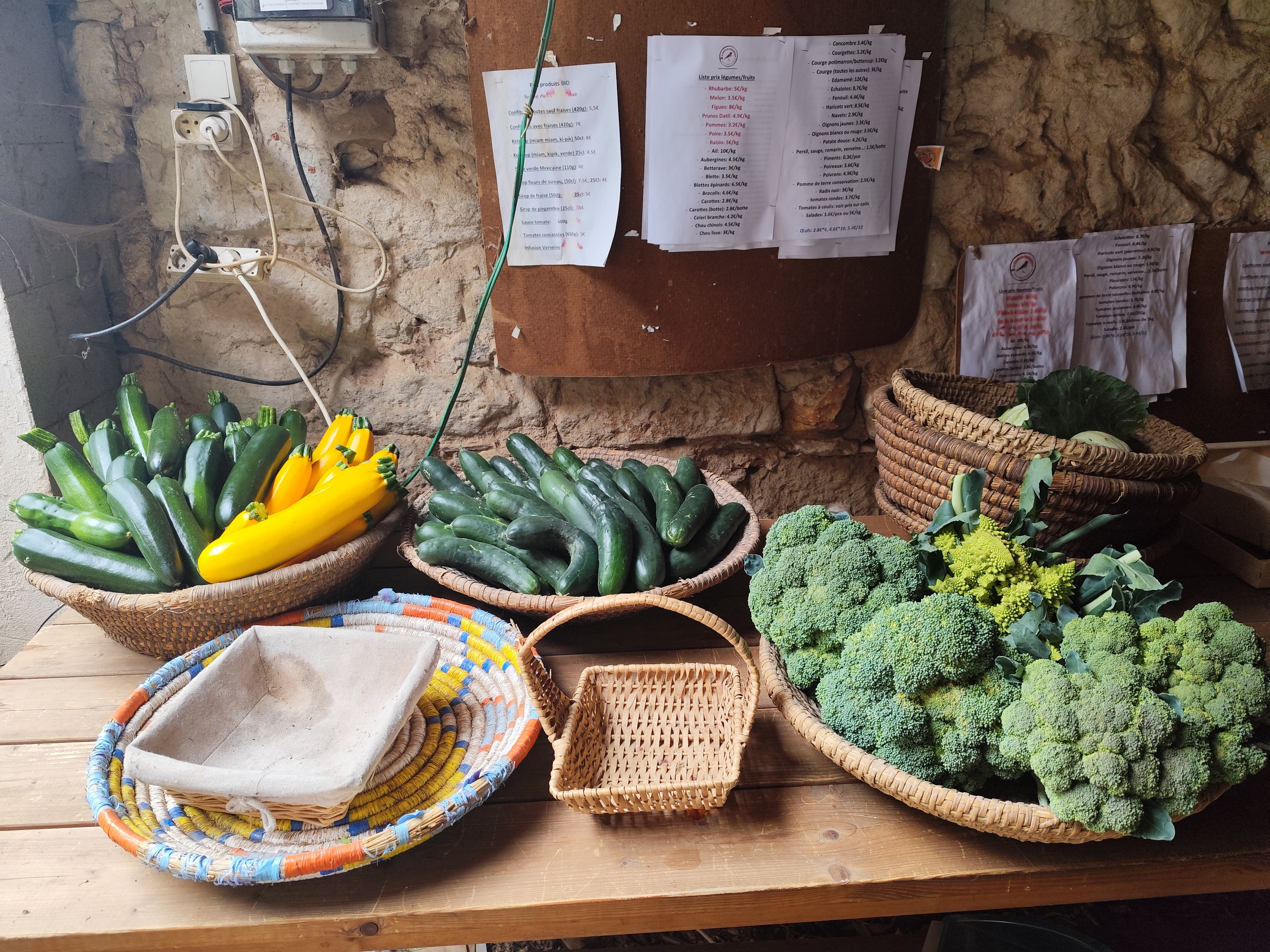 ZDEKS na sejmu Tech&Bio 2025: izmenjava znanja in predstavitev slovenskih inovacij