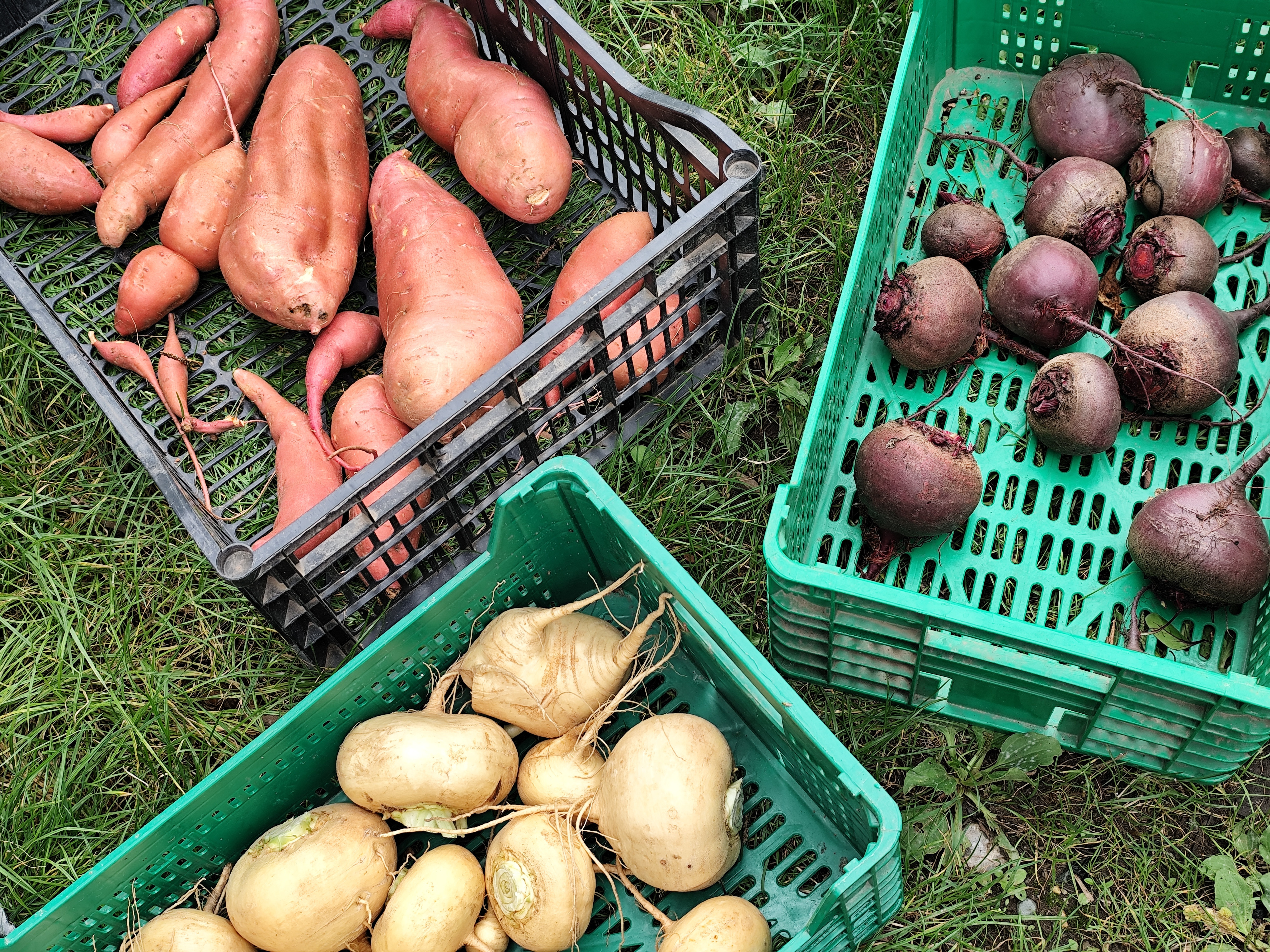 ZDEKS na sejmu Tech&Bio 2025: izmenjava znanja in predstavitev slovenskih inovacij