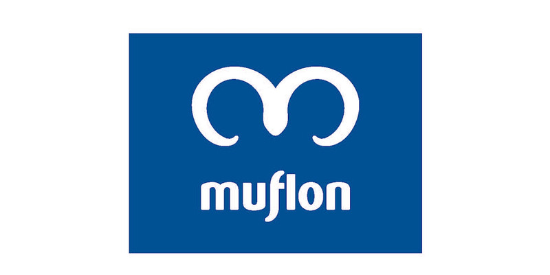 Muflon