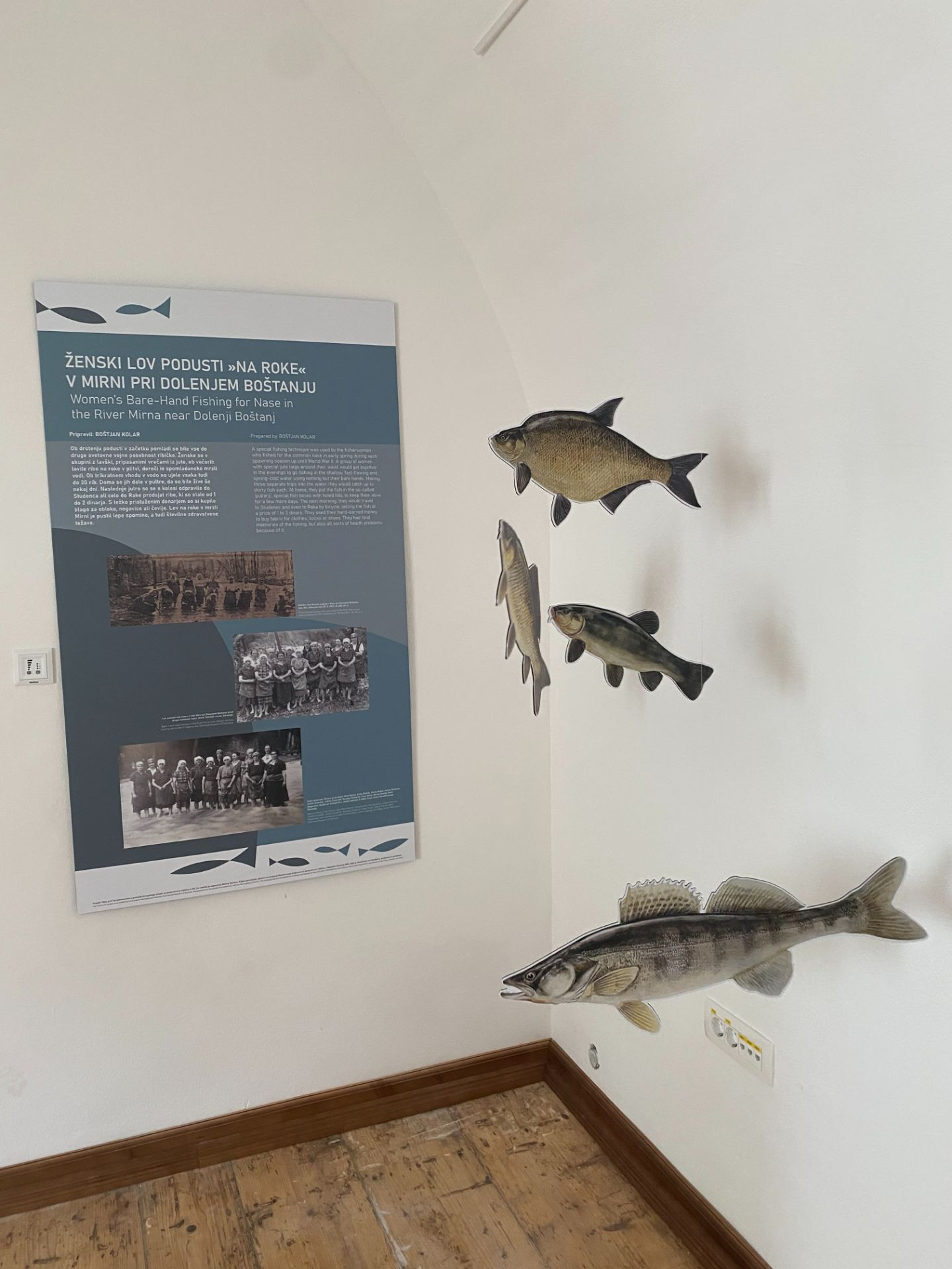 Zunanje in notranje označevanje