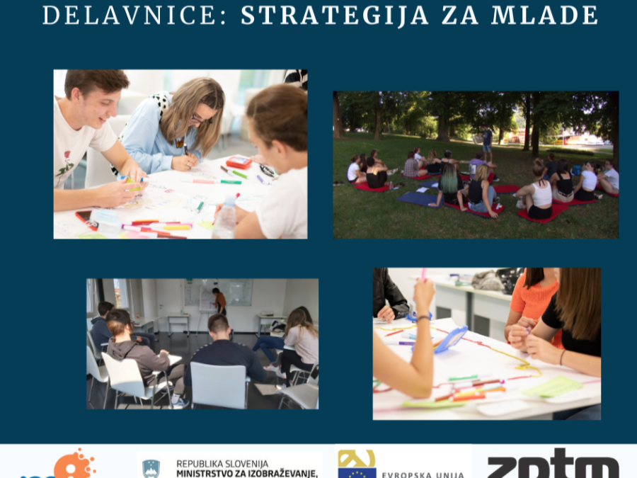Delavnice v mc brežice: Strategija za mlade