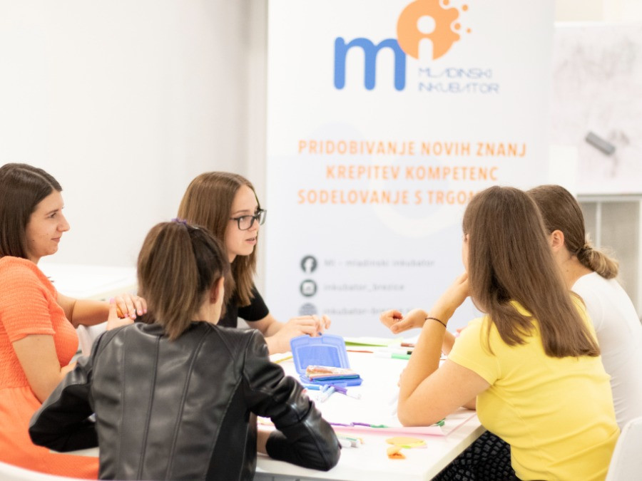 Delavnice v mc brežice: Strategija za mlade