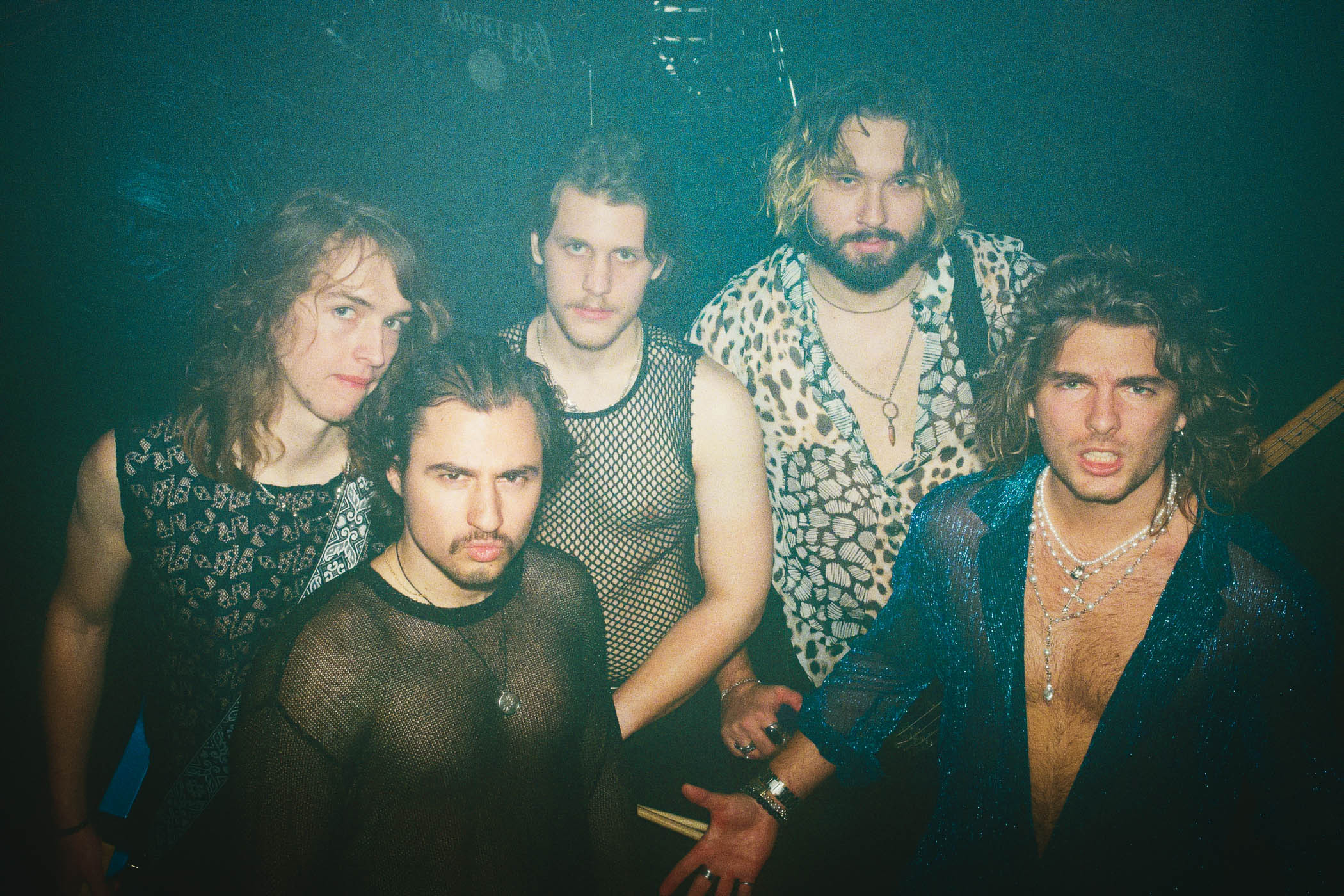 Angel’s Ex in FED HORSES