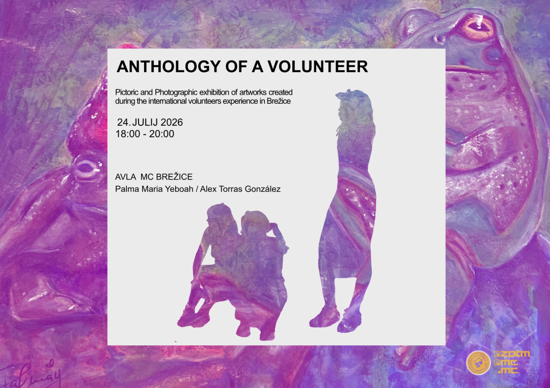 Anthology of a Volunteer