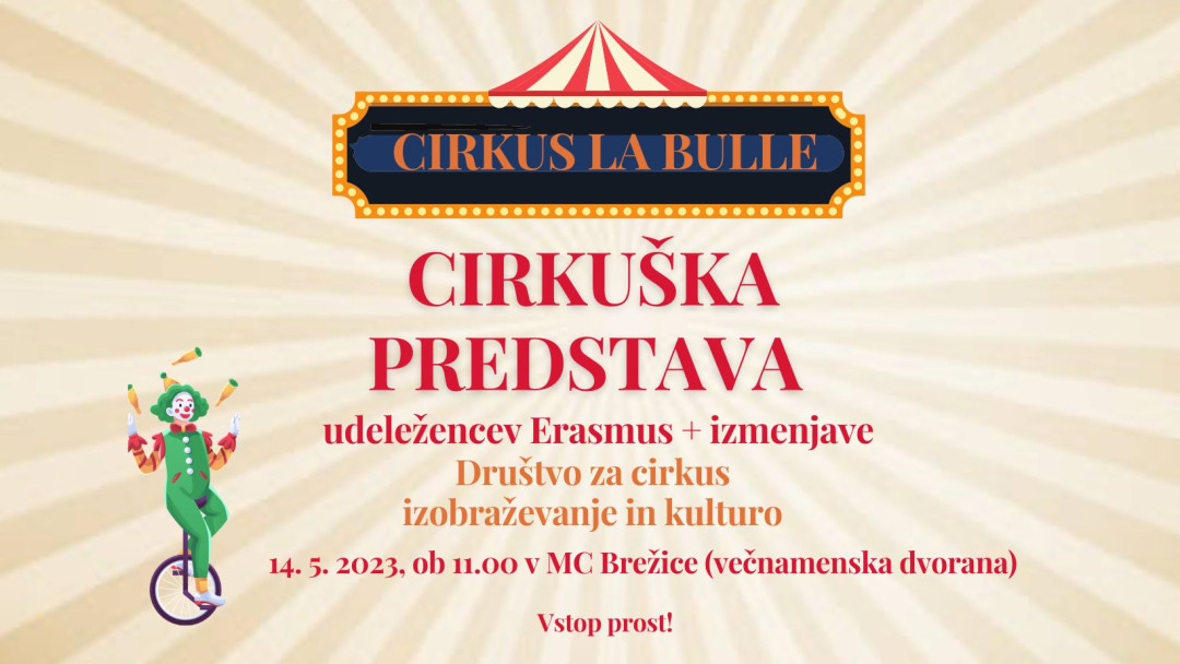 Cirkuška predstava in delavnica