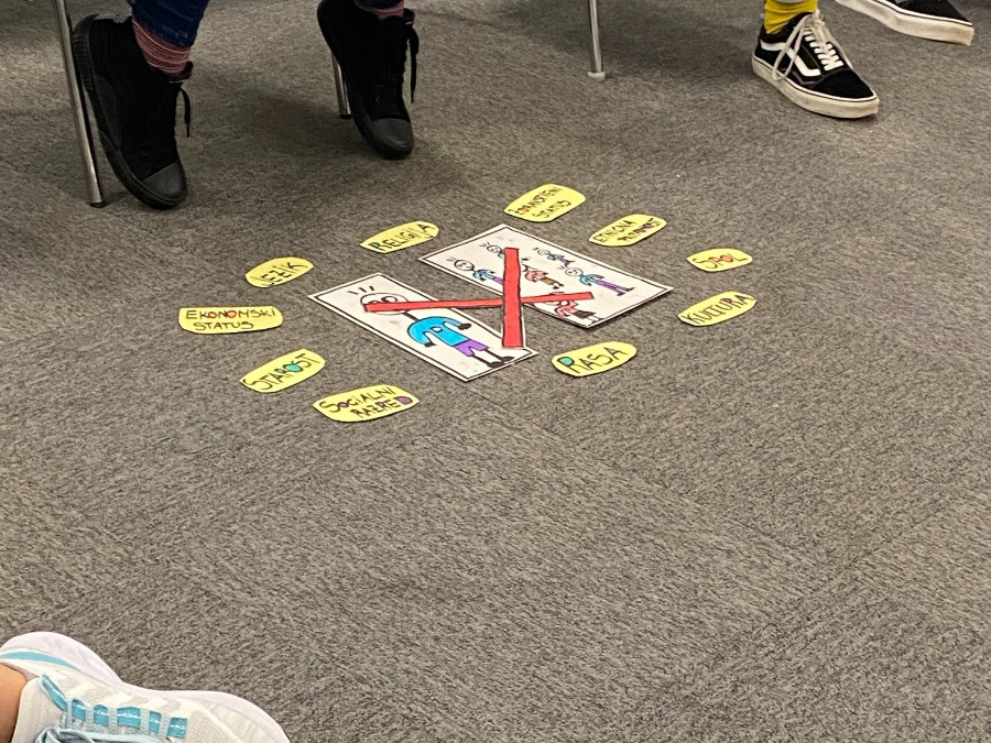 Delavnica mreža vzornikov