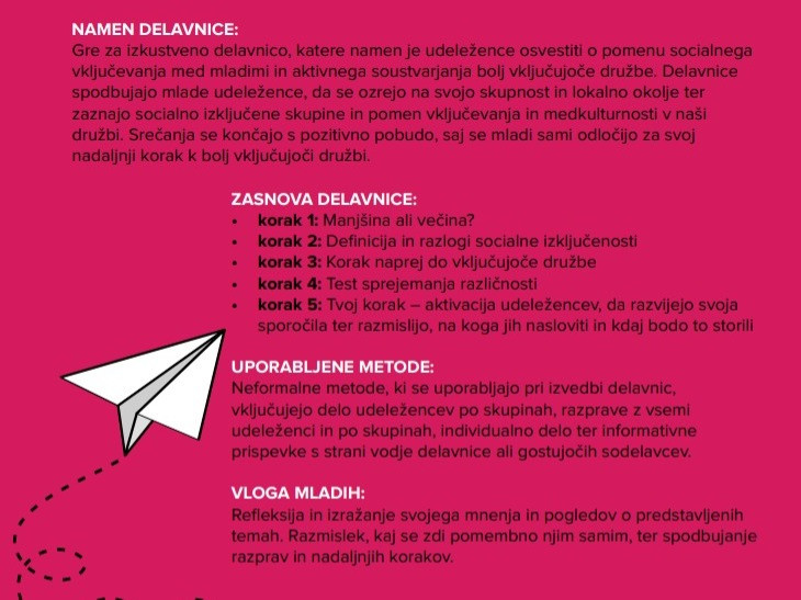 Delavnica mreža vzornikov