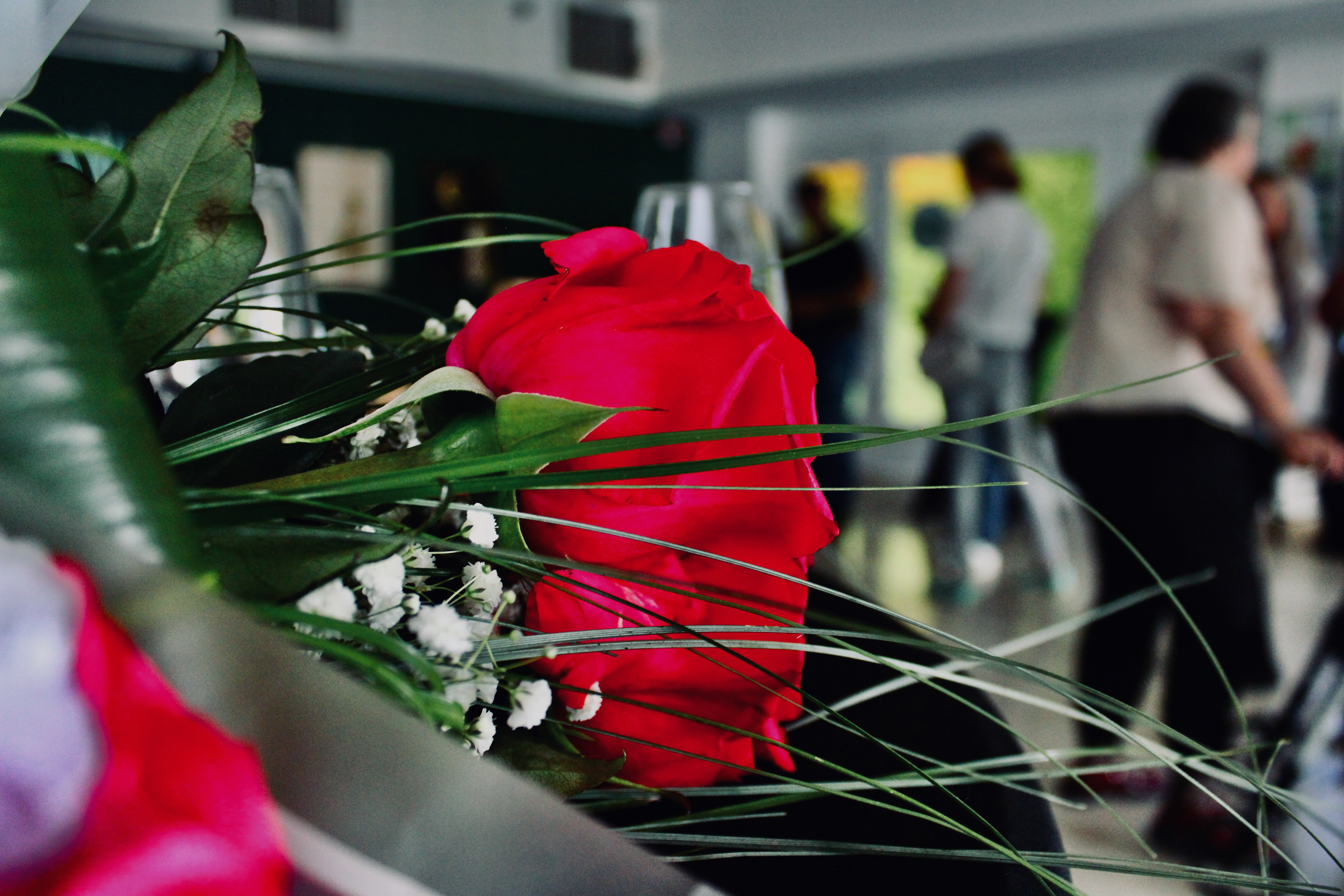 Izbira sledi: razstava, ki je očarala obiskovalce