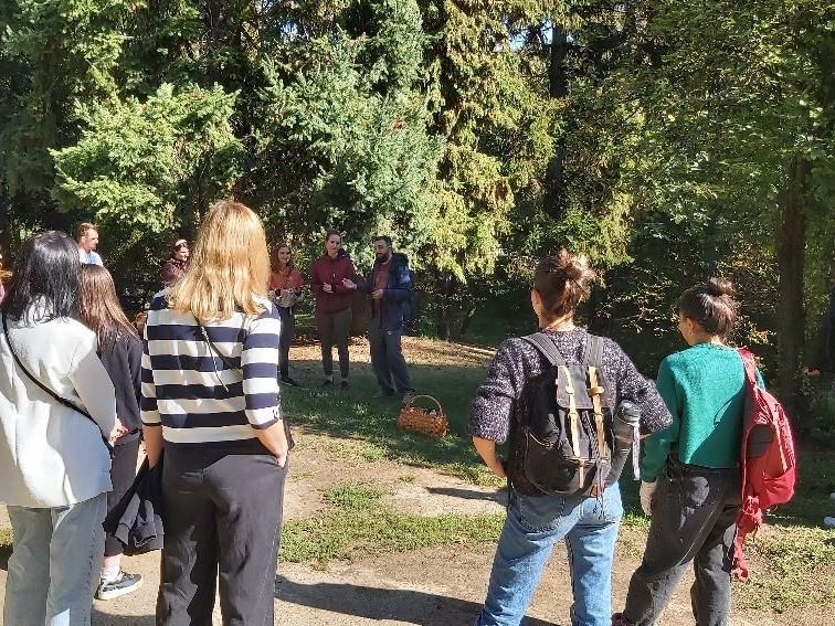 Mednarodno sodelovanje