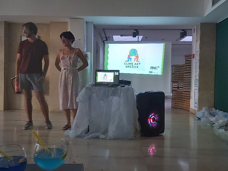 Mednarodno sodelovanje