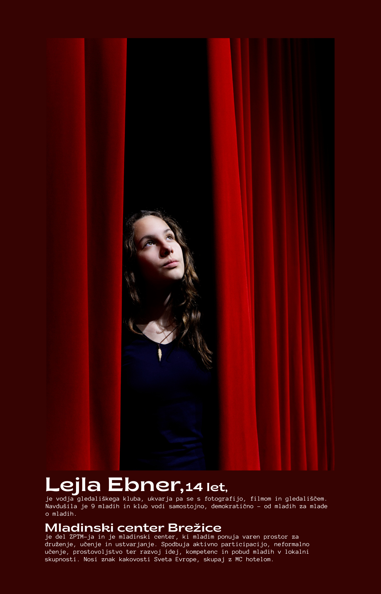 Otvoritev razstave Mladi prostovoljci v Brežicah